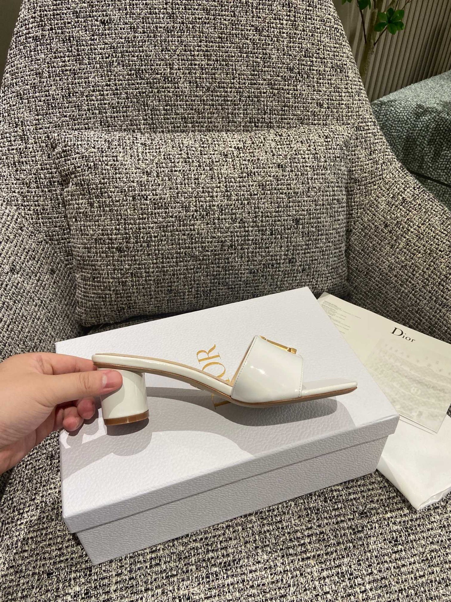 DIOR-089shoes