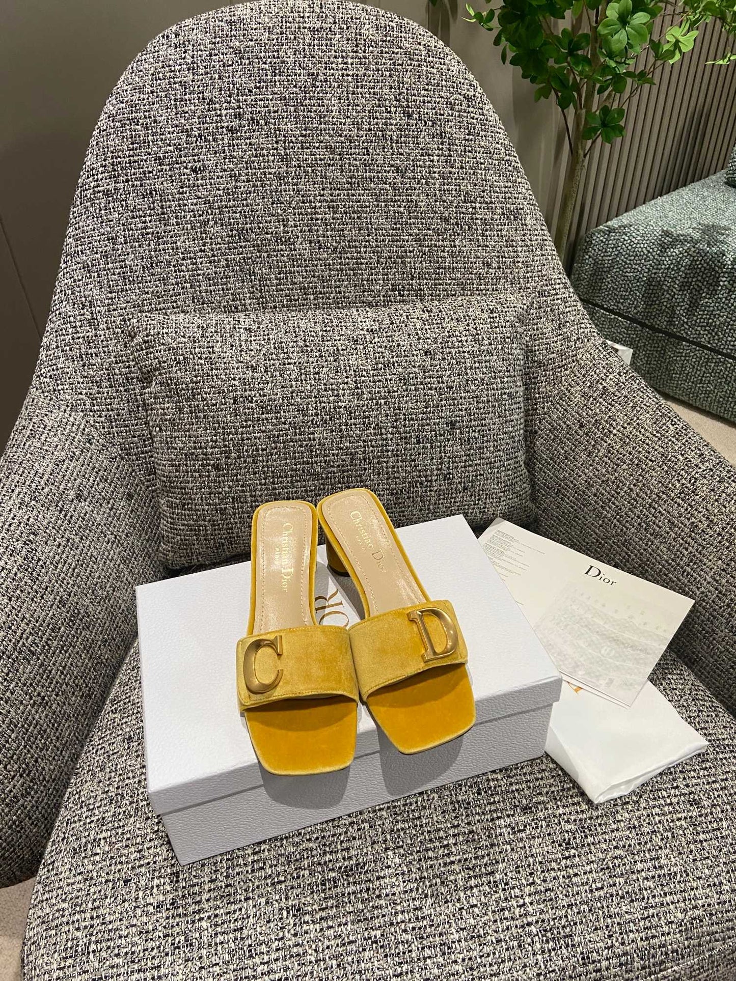 DIOR-090shoes
