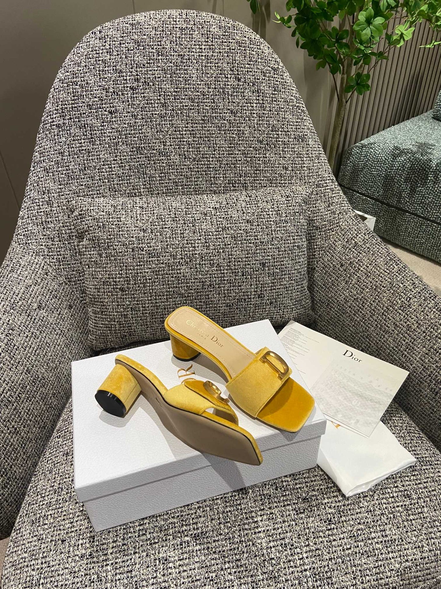 DIOR-090shoes
