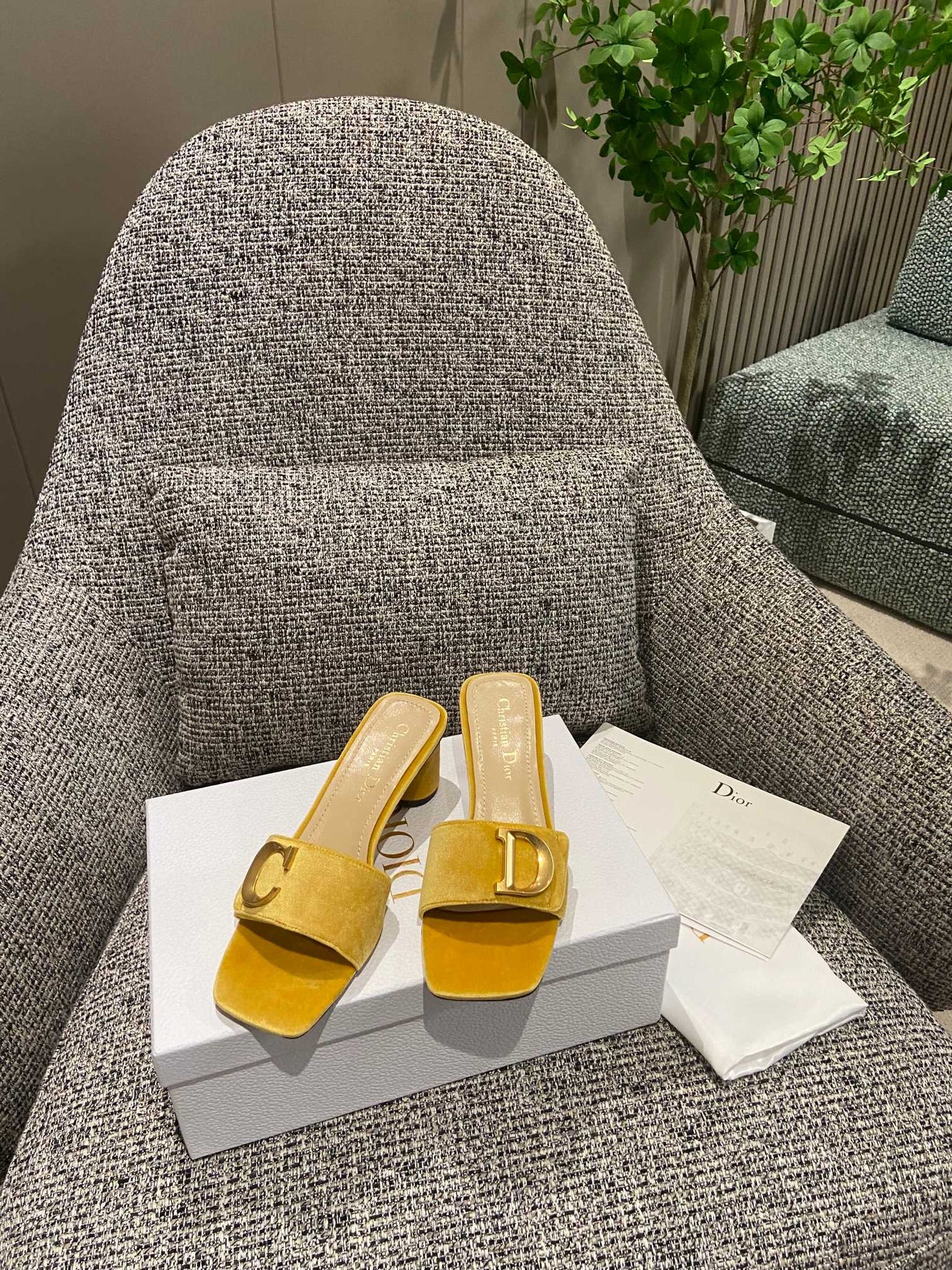 DIOR-090shoes