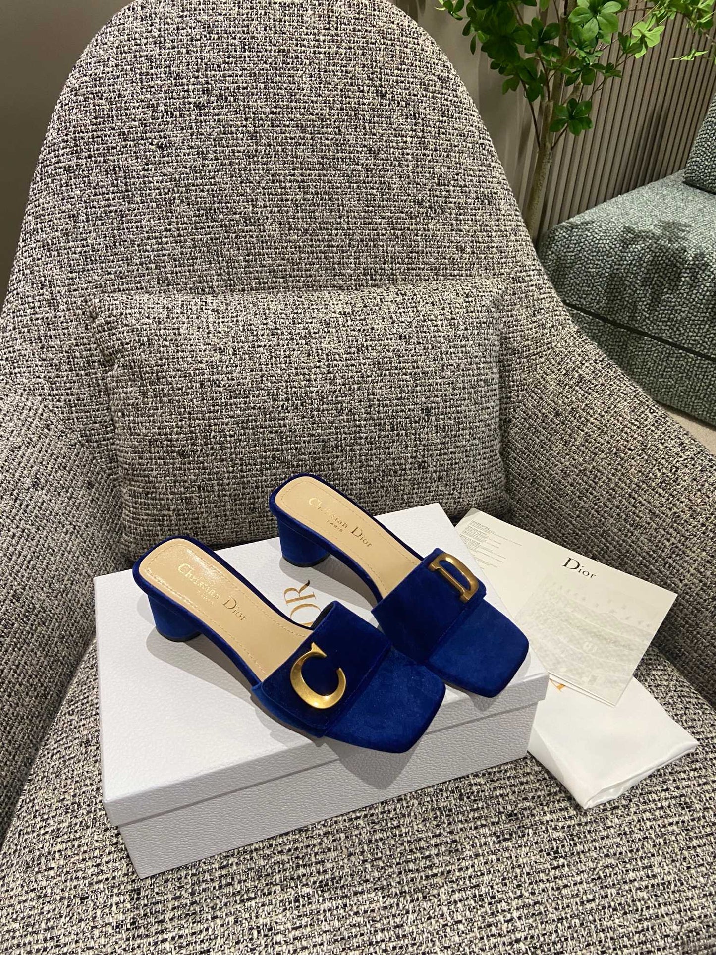 DIOR-091shoes
