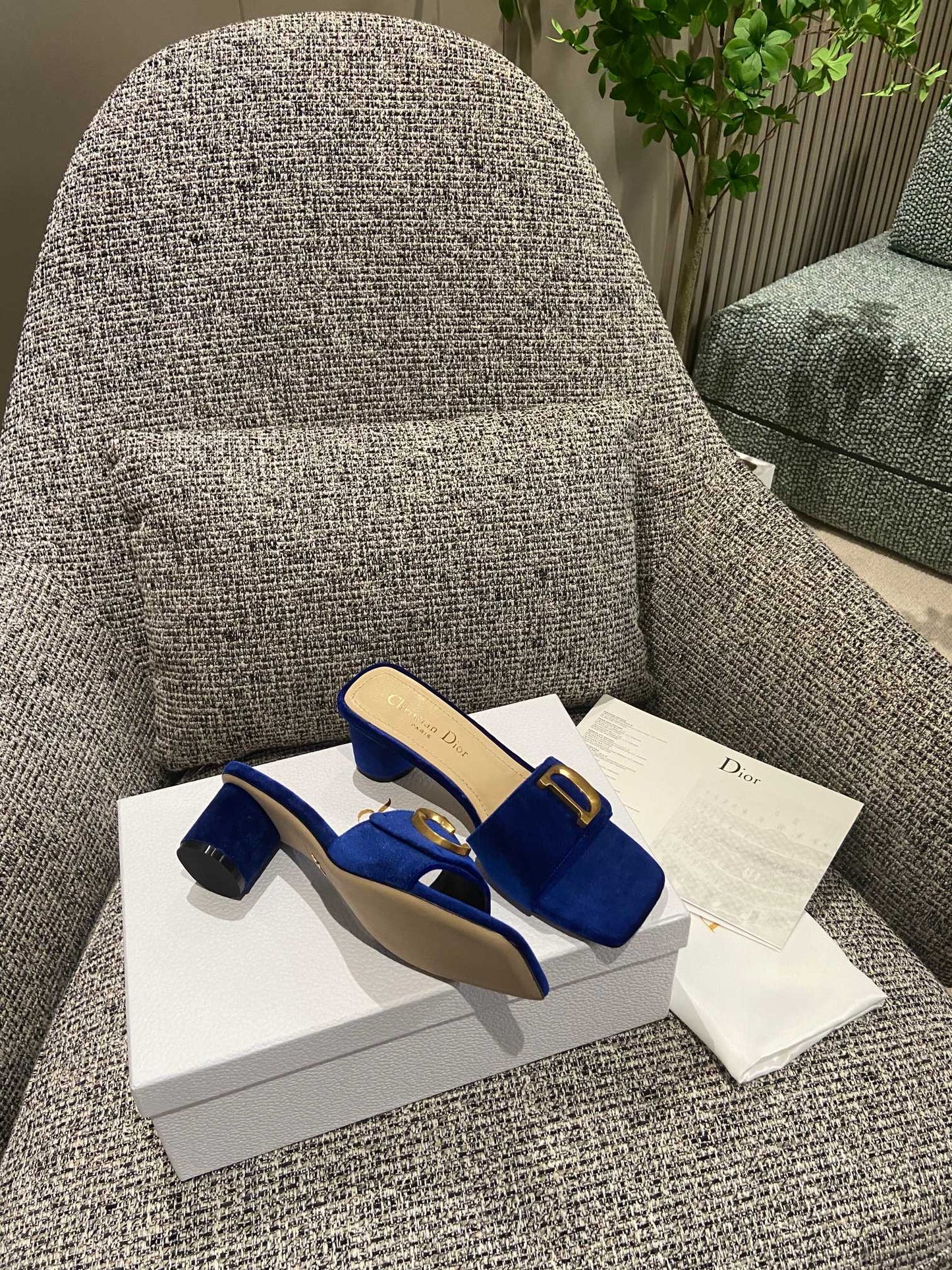 DIOR-091shoes
