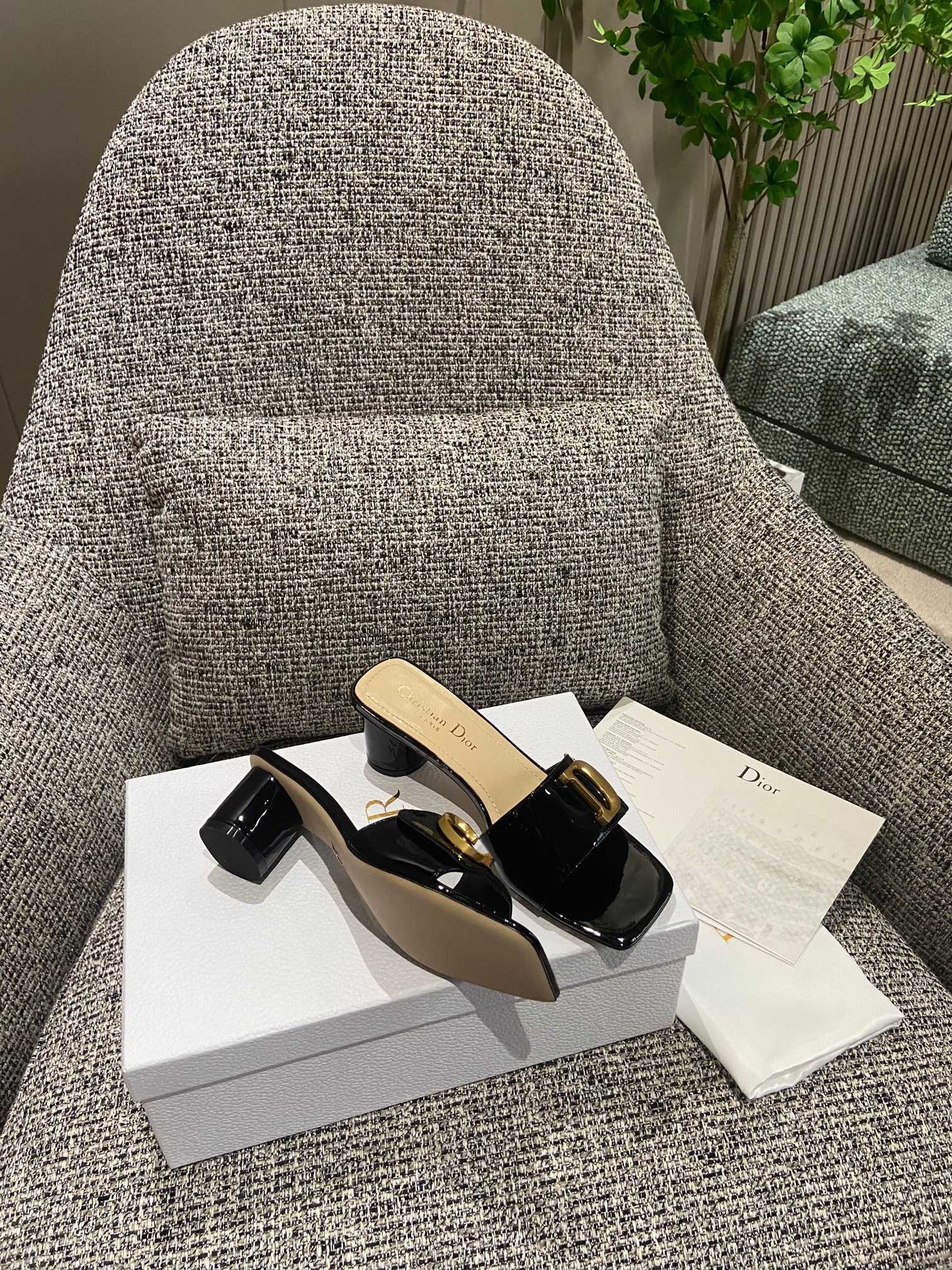 DIOR-092shoes