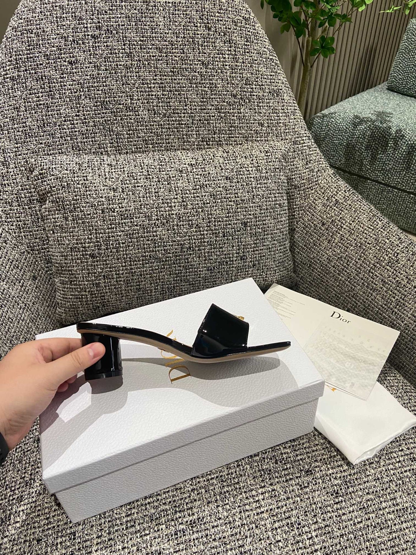 DIOR-092shoes