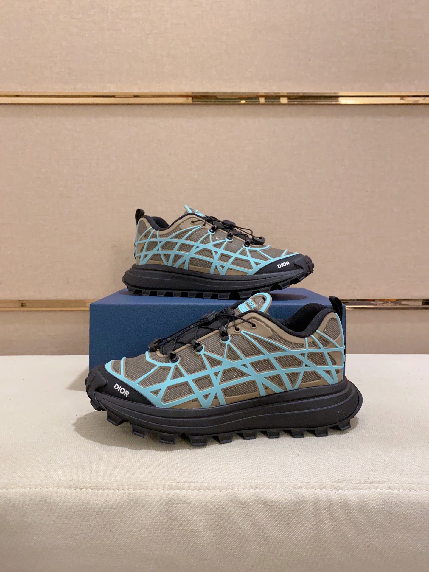 DIOR-108shoes