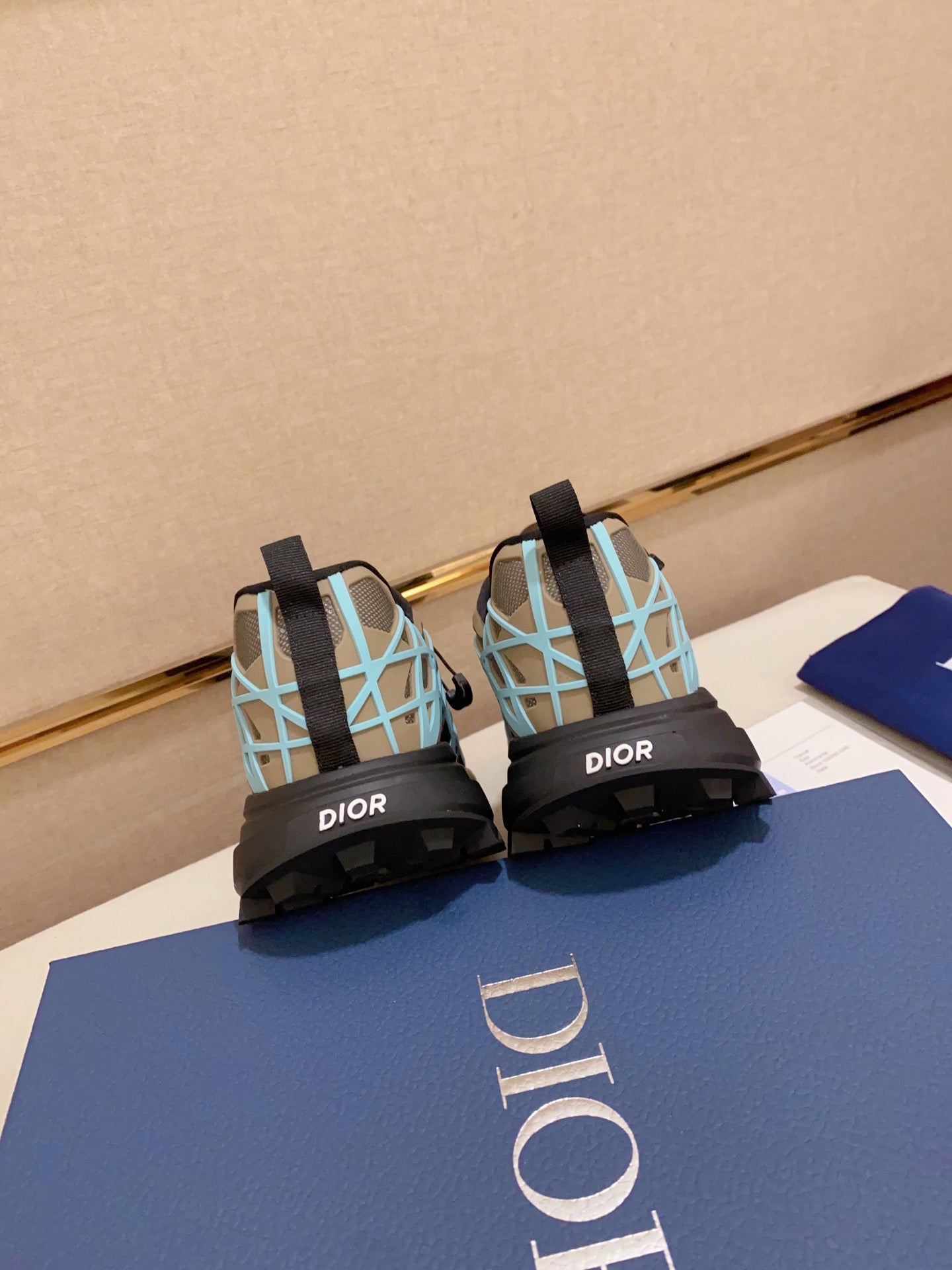 DIOR-108shoes