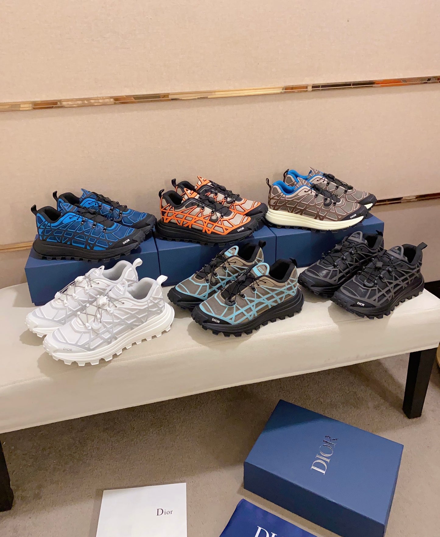 DIOR-108shoes