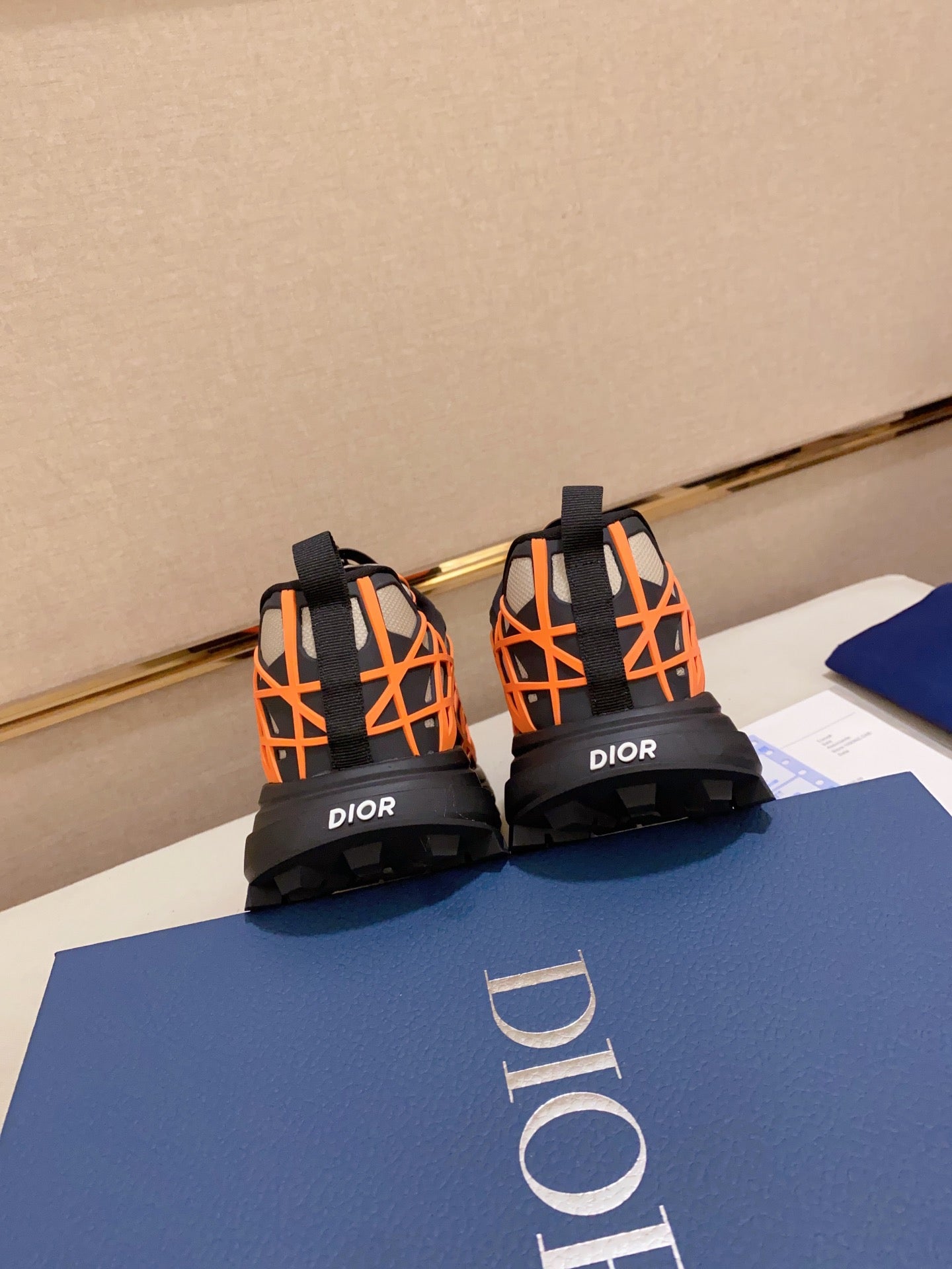 DIOR-109shoes