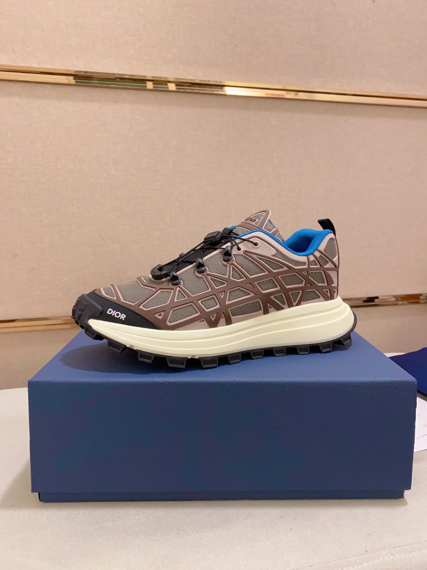 DIOR-110shoes