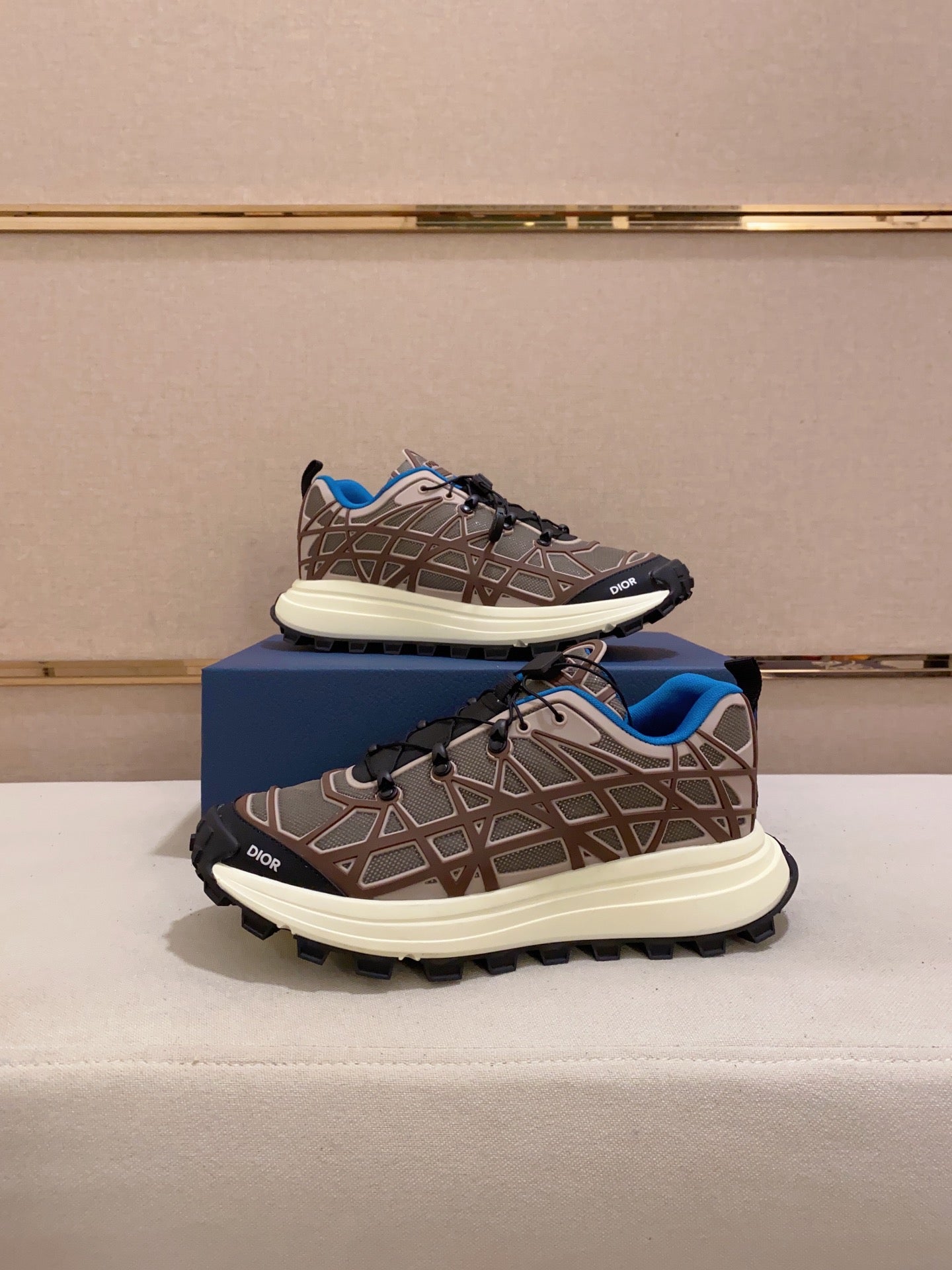DIOR-110shoes