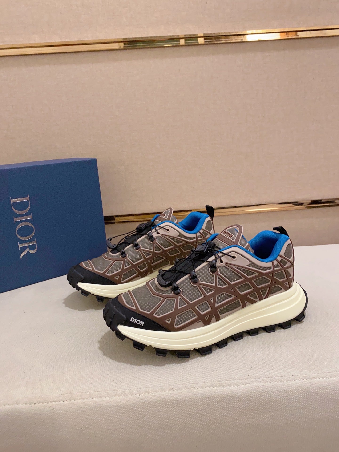 DIOR-110shoes