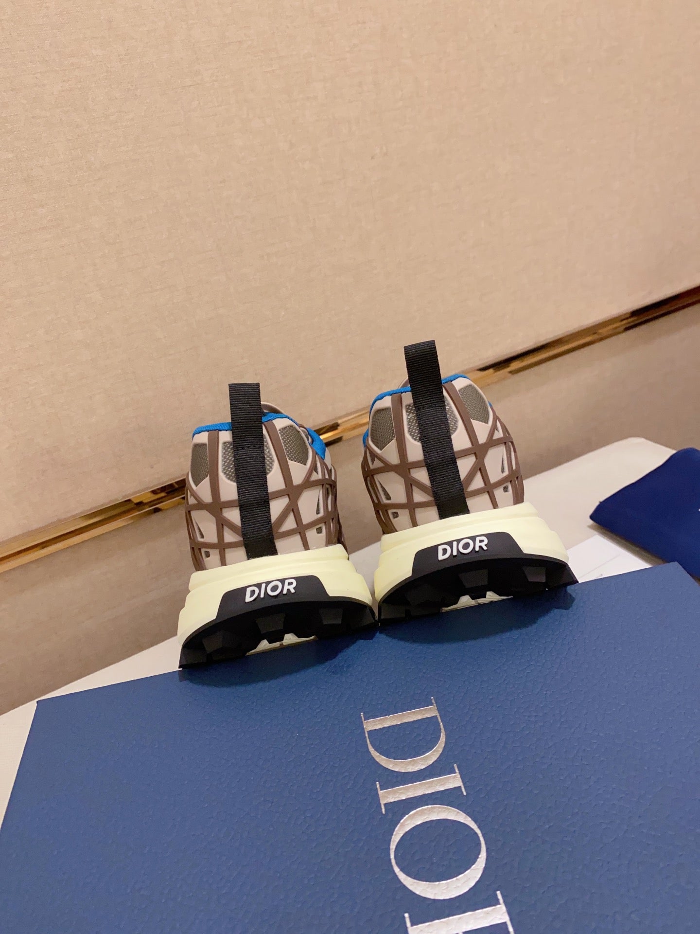DIOR-110shoes