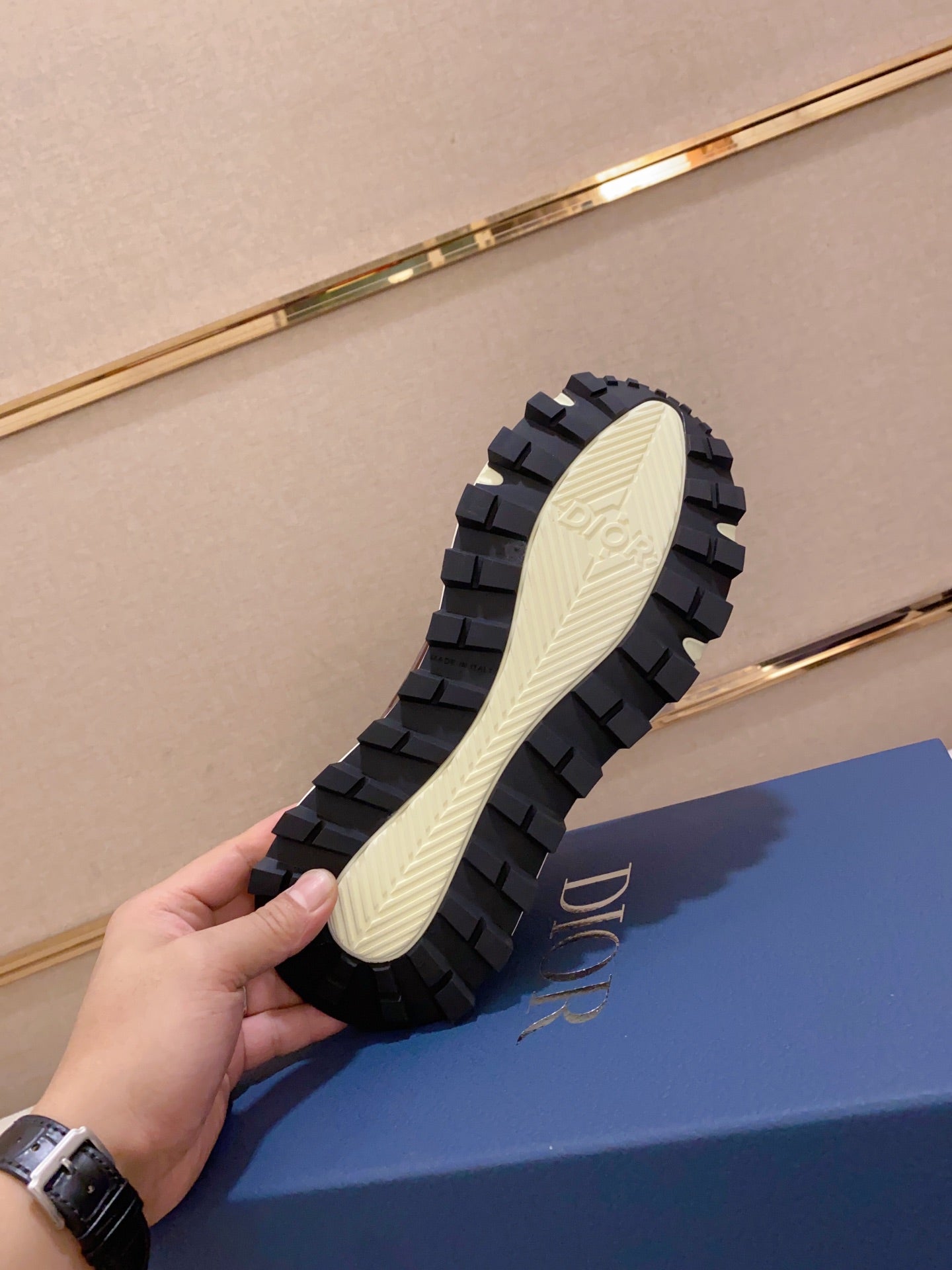 DIOR-110shoes