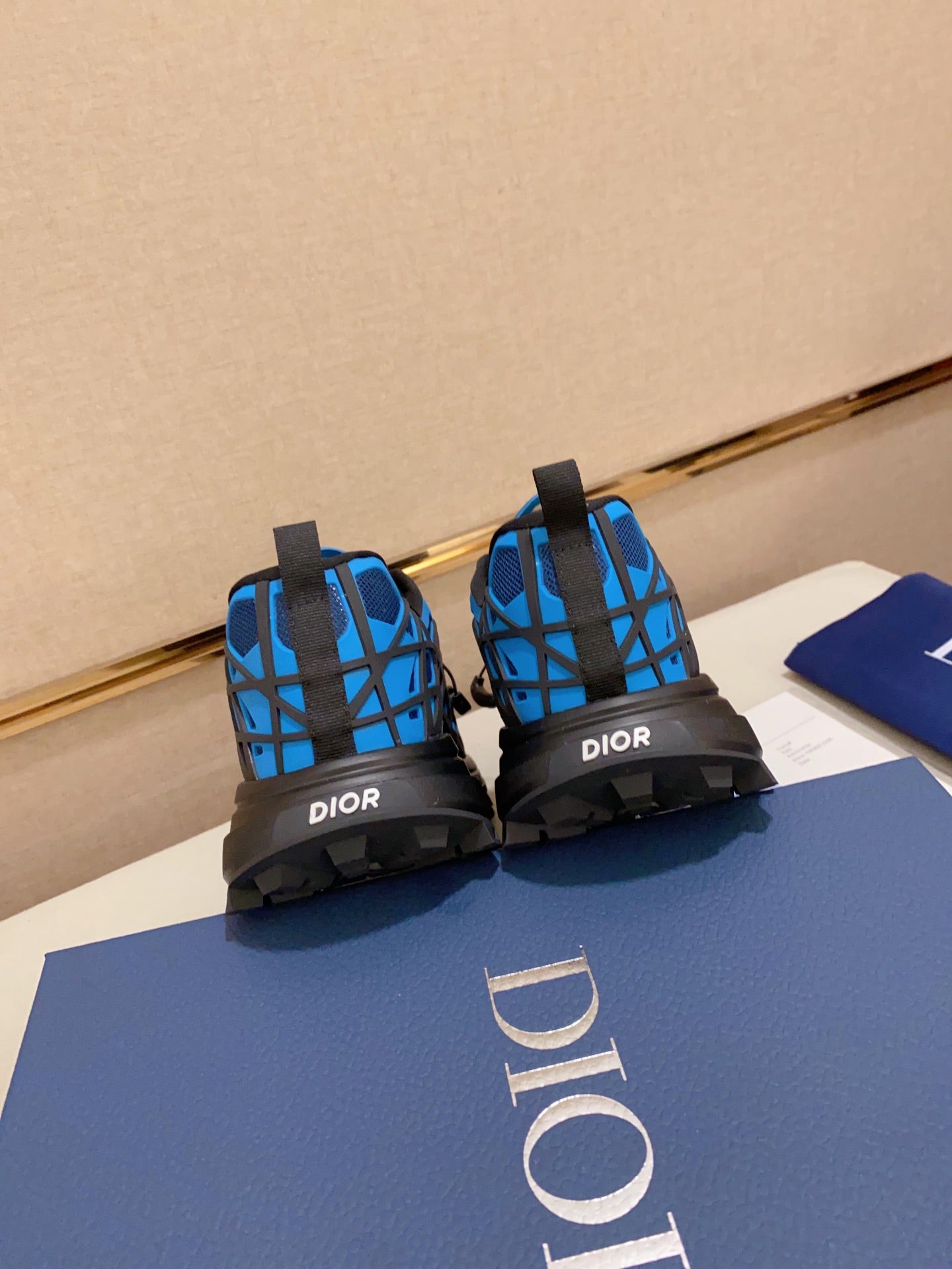 DIOR-111shoes