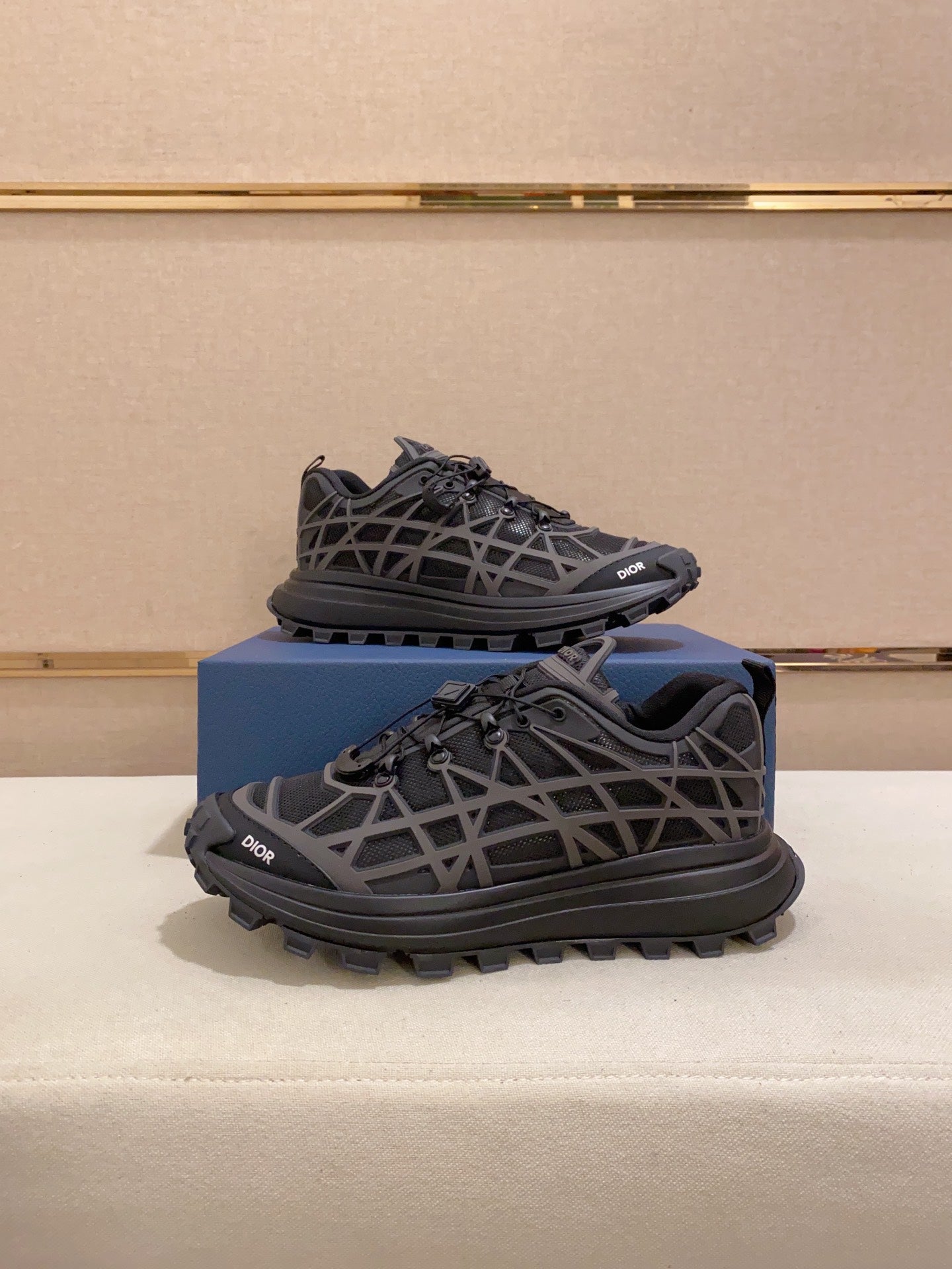 DIOR-112shoes