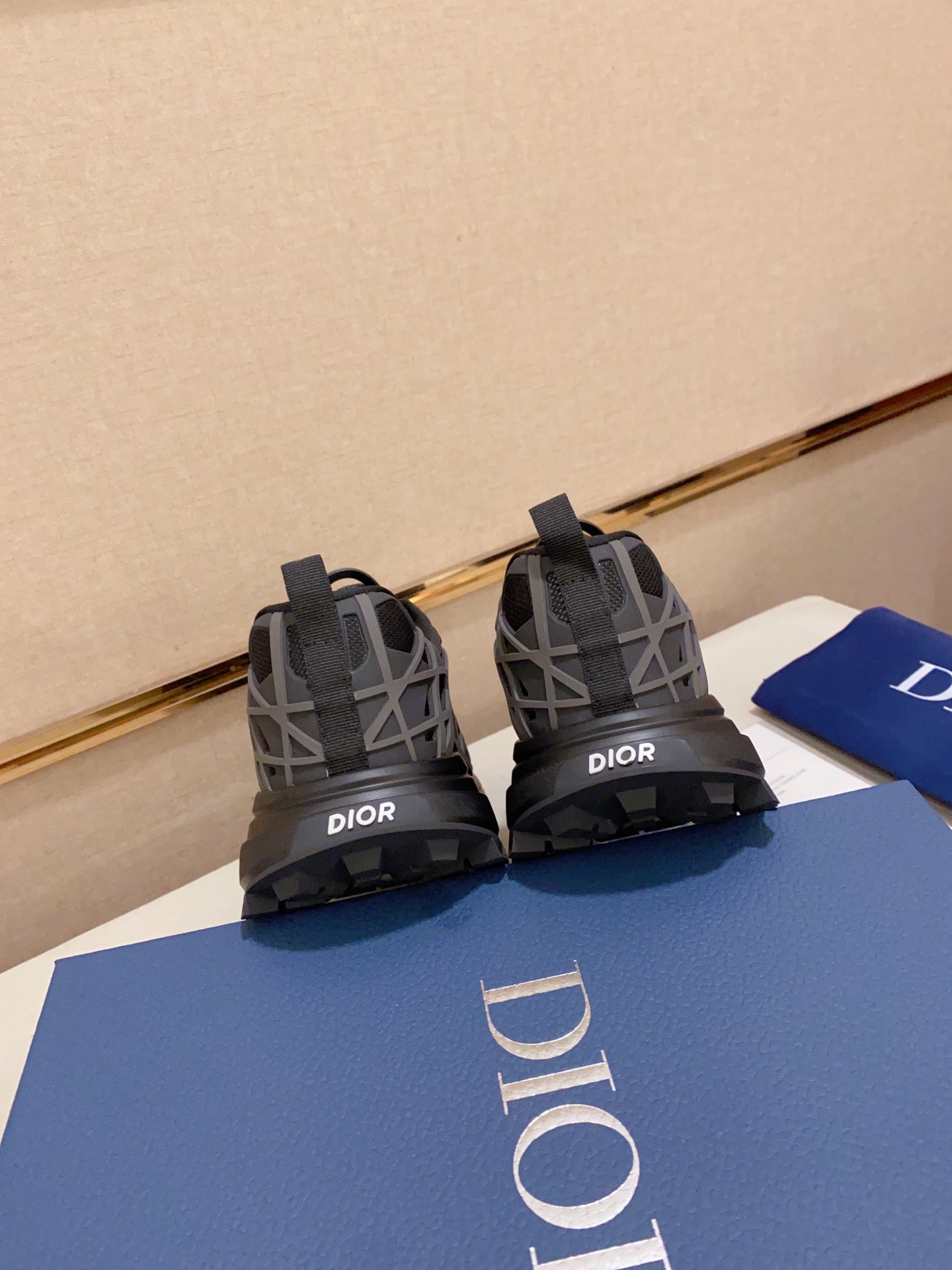 DIOR-112shoes