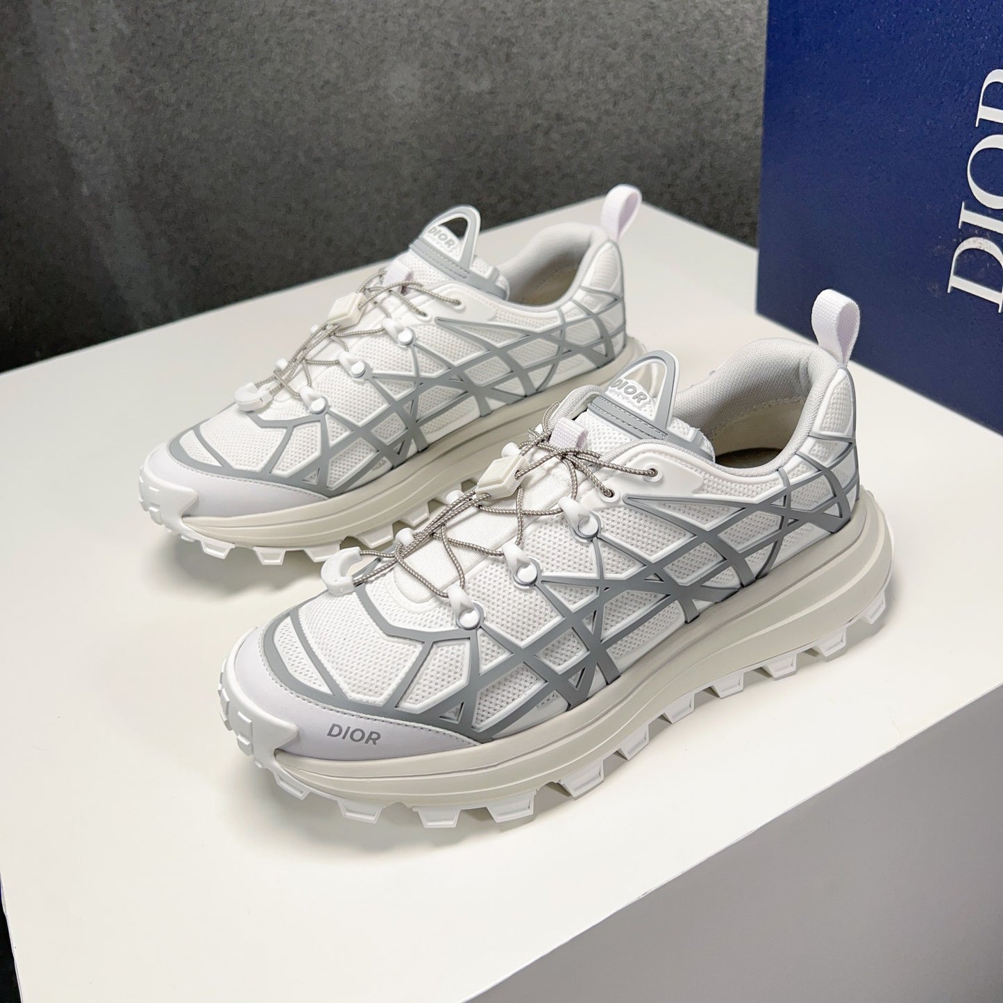 DIOR-202shoes
