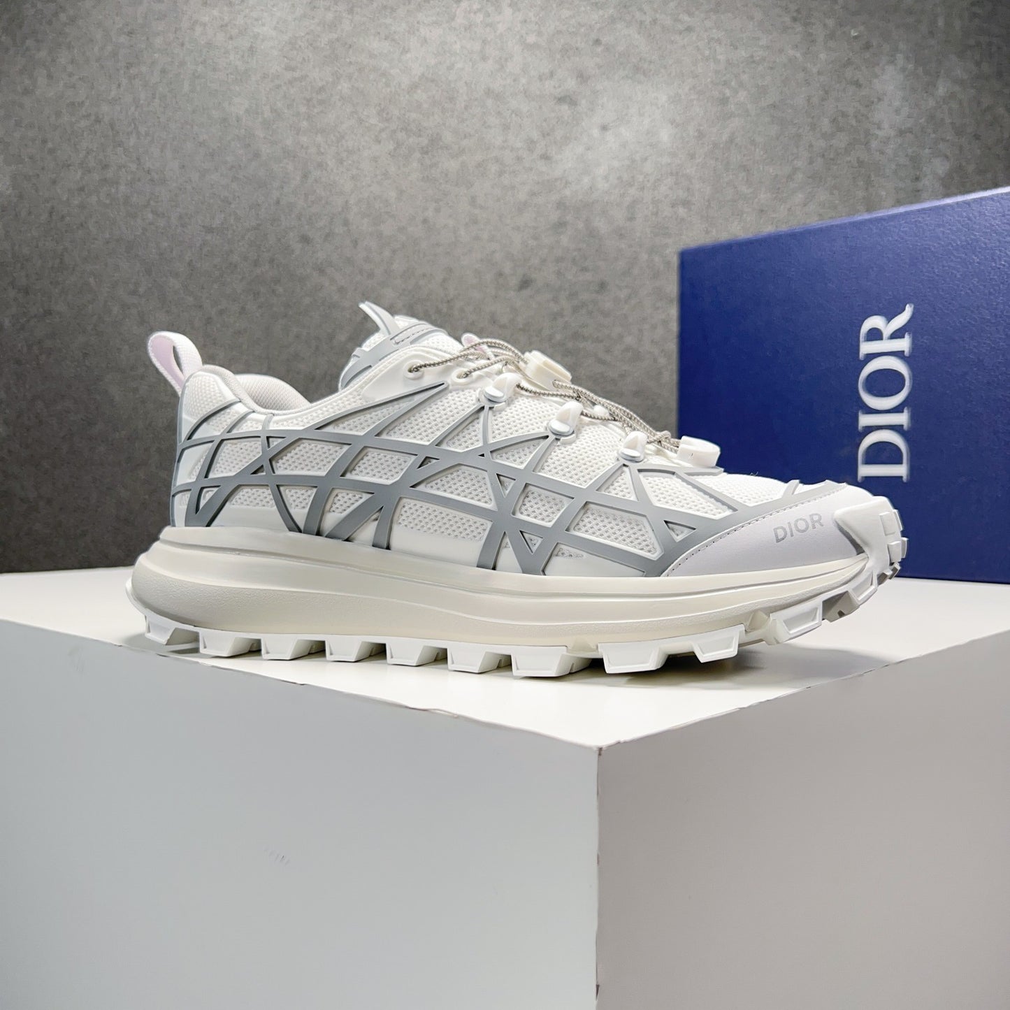 DIOR-202shoes