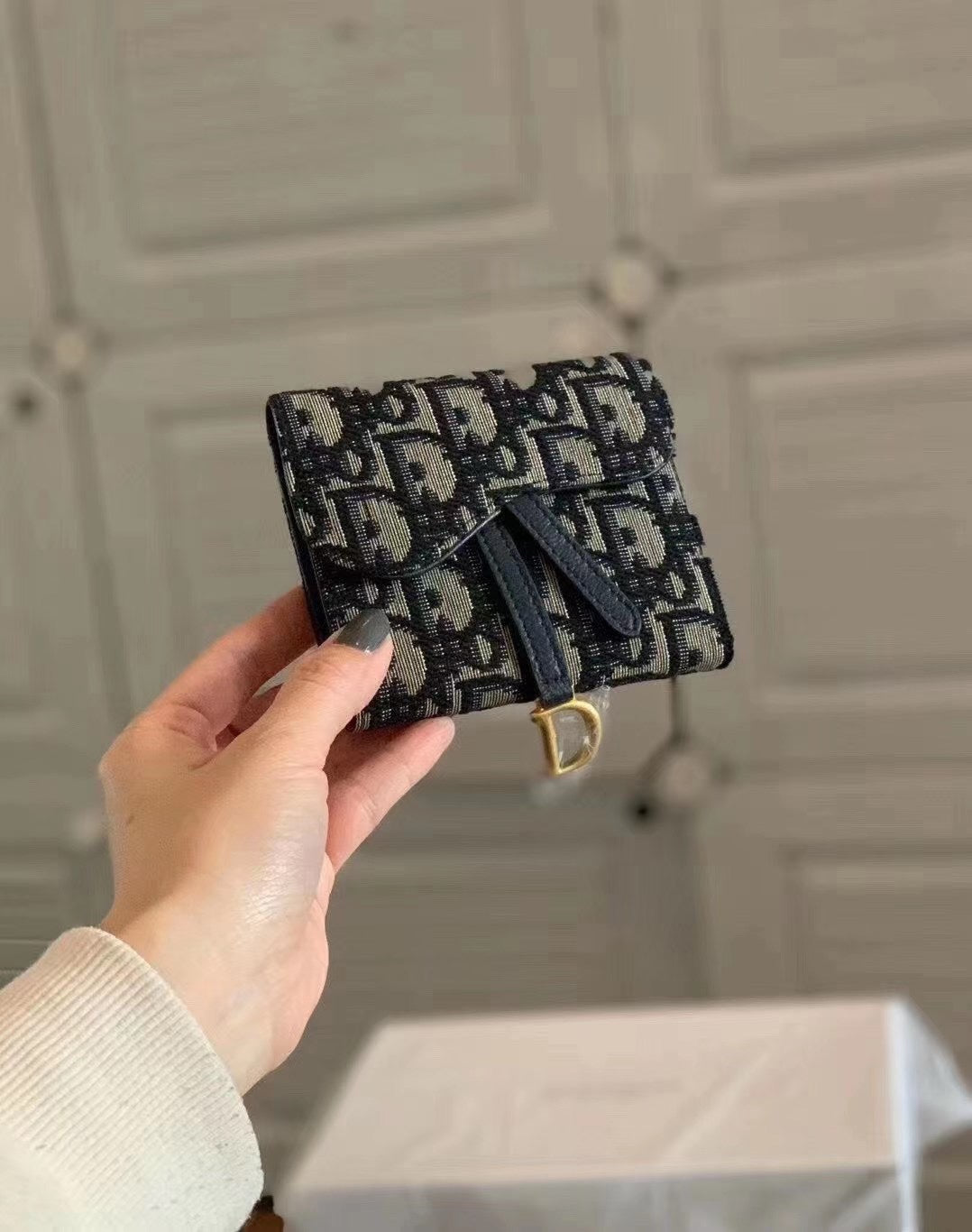 Dior-019Wallet