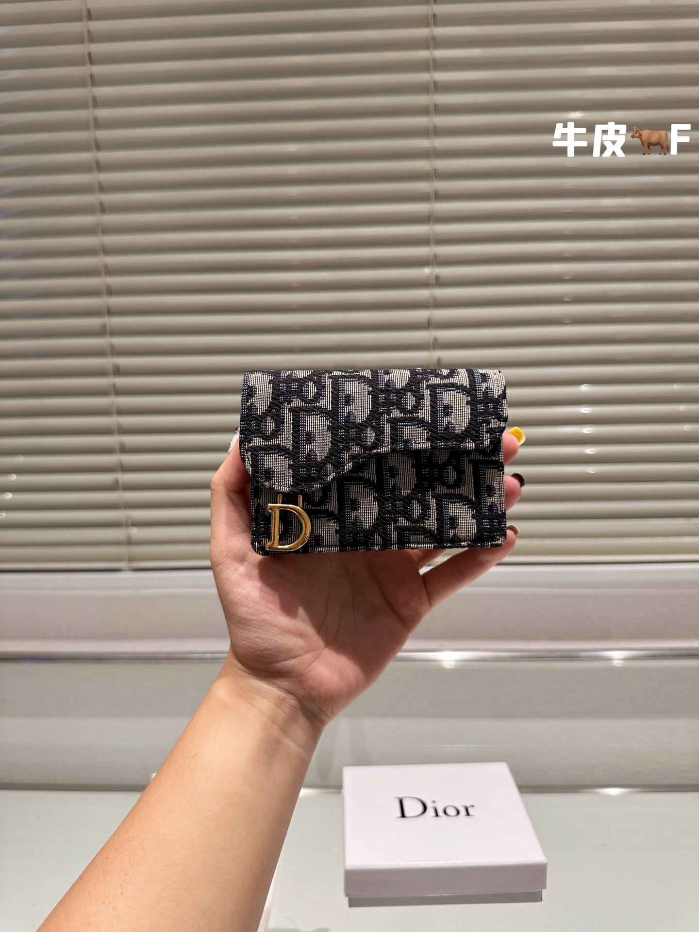 Dior-034Wallet