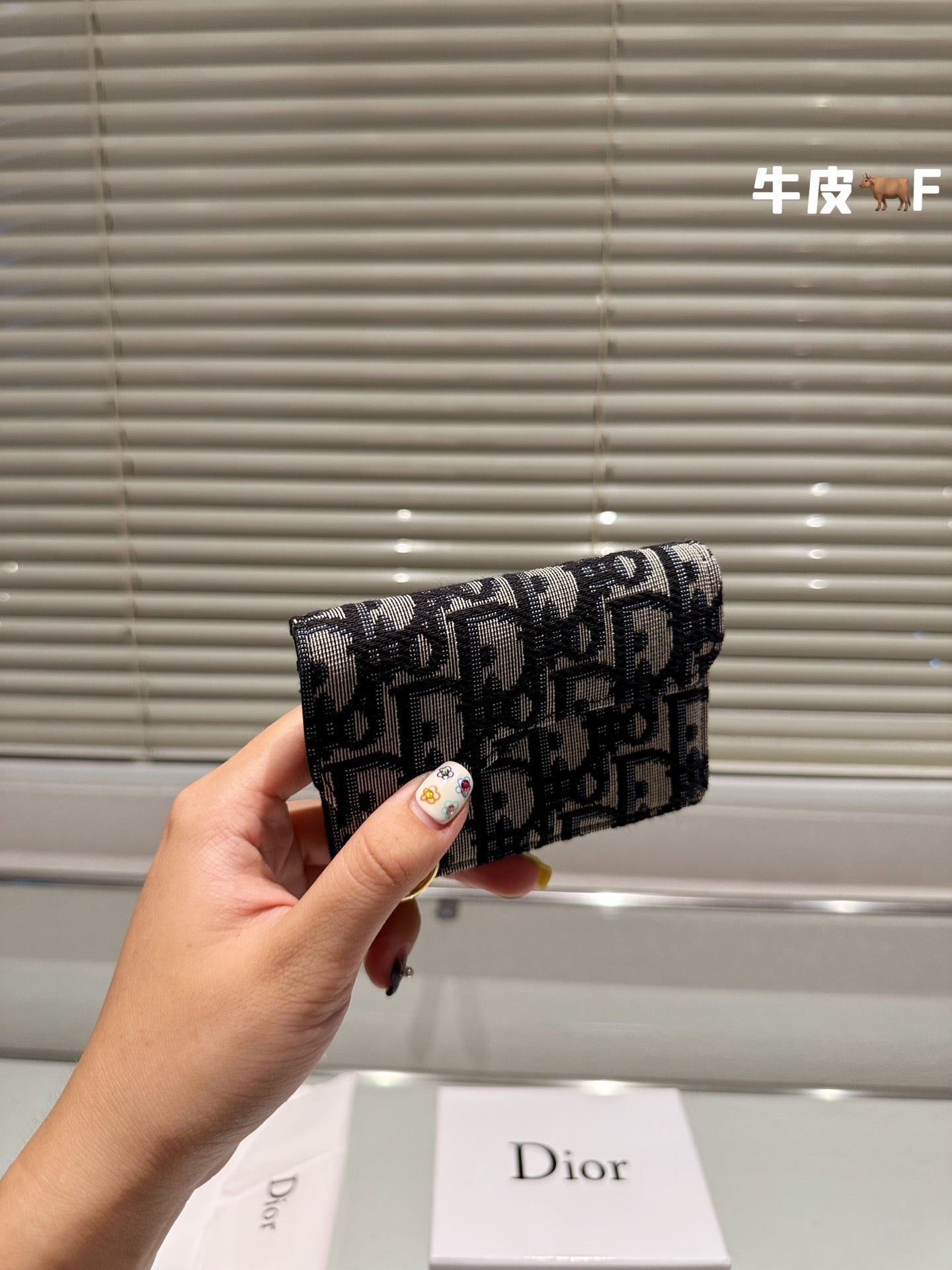 Dior-034Wallet