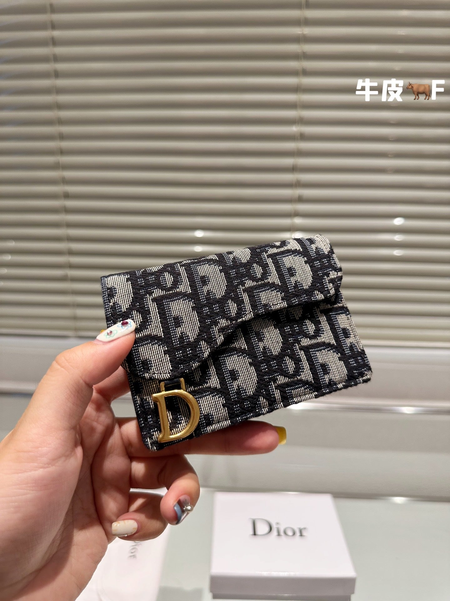 Dior-034Wallet