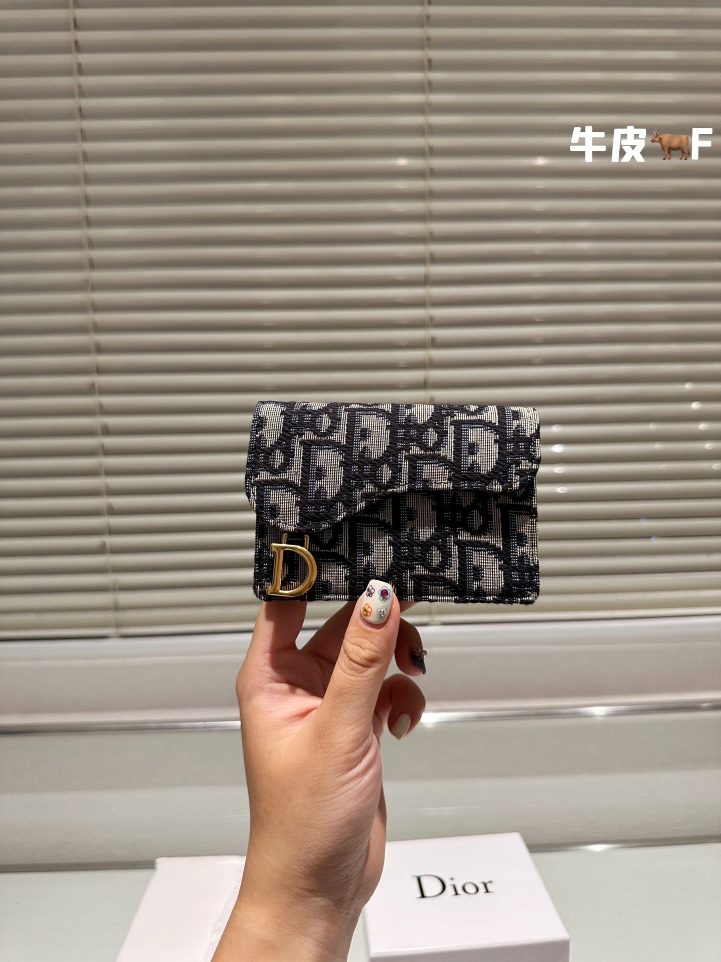 Dior-034Wallet