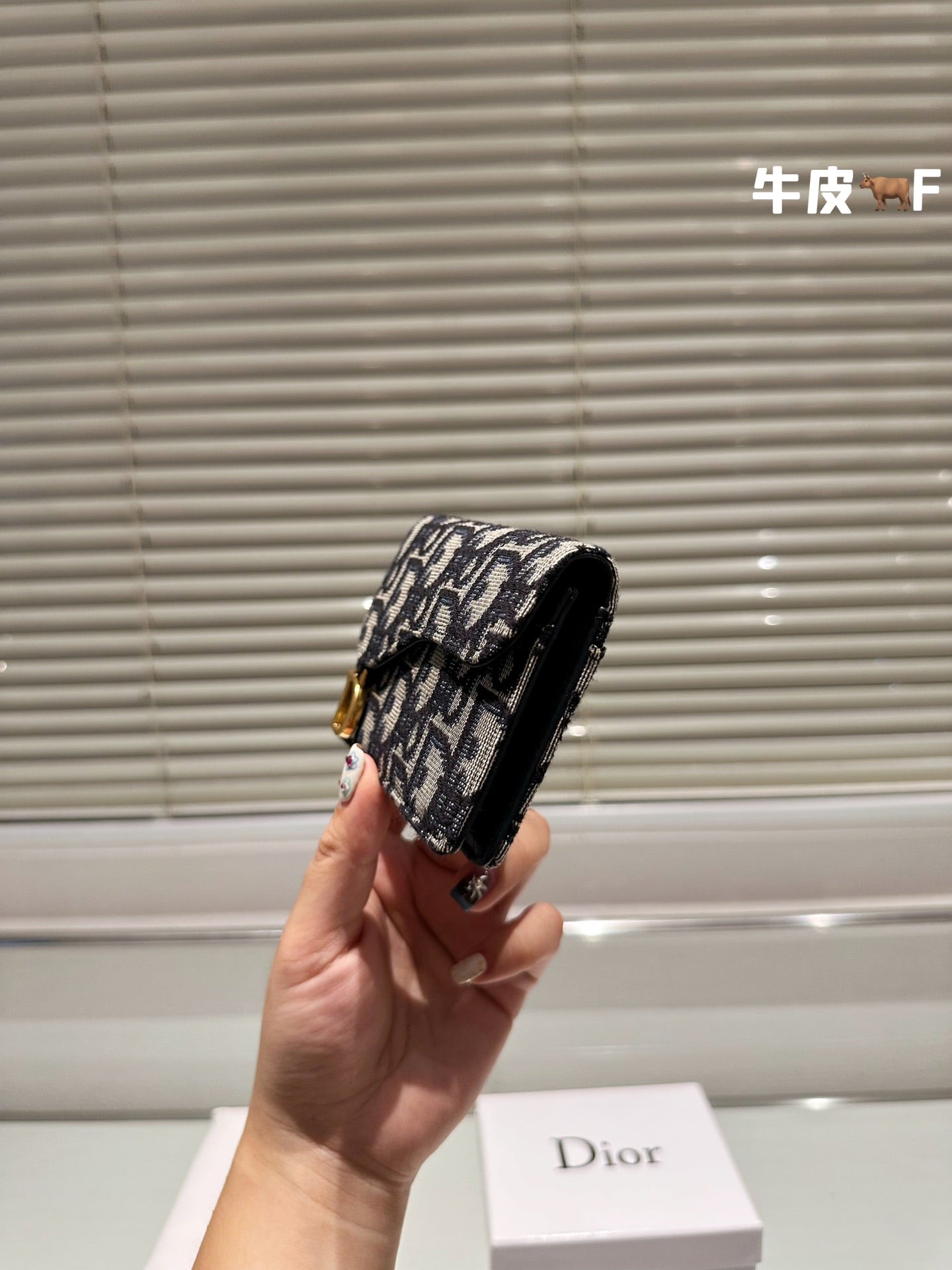 Dior-034Wallet