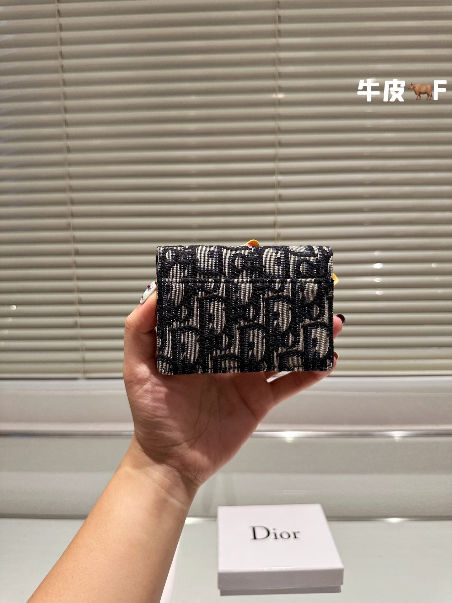 Dior-034Wallet
