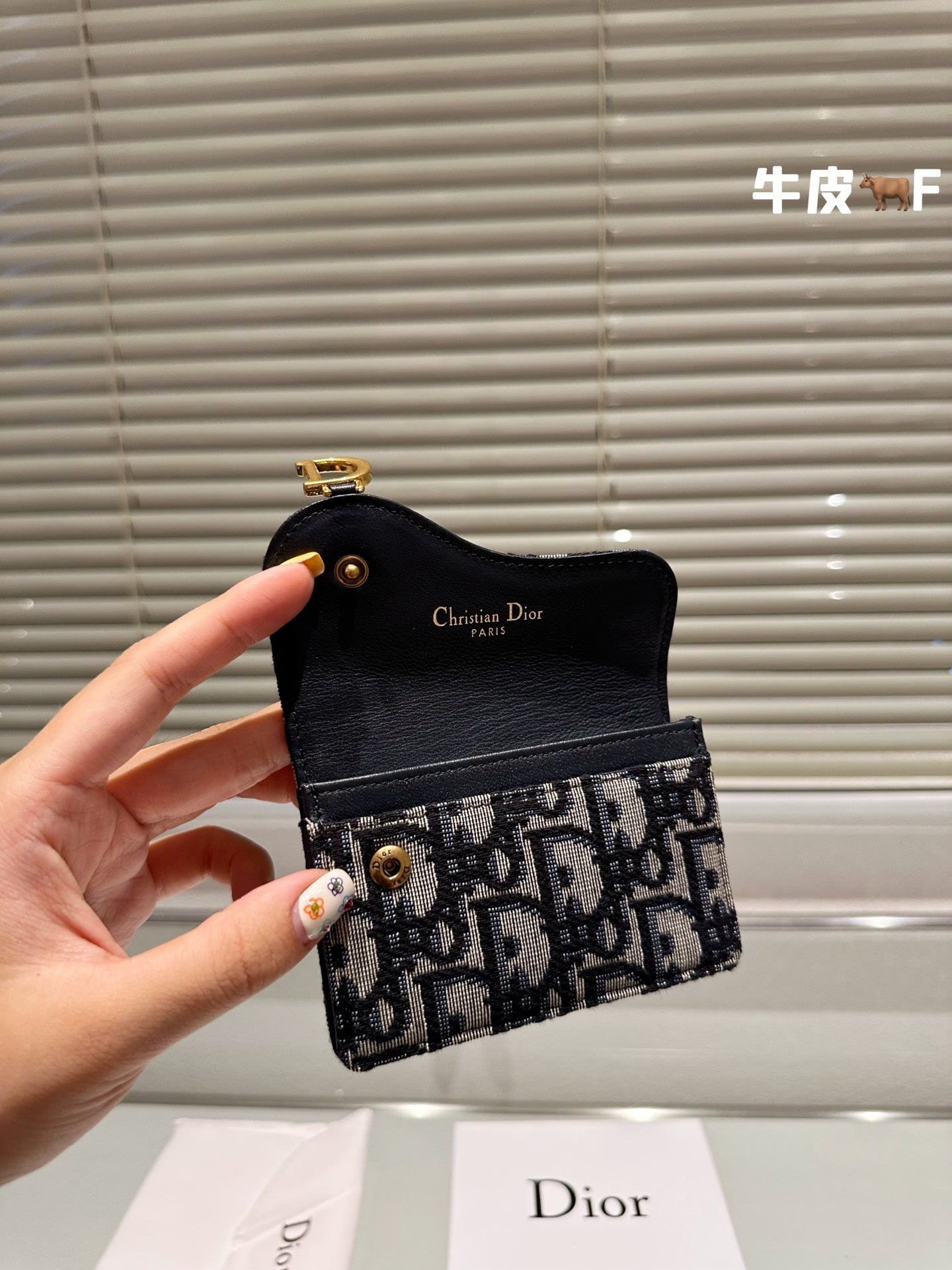 Dior-034Wallet