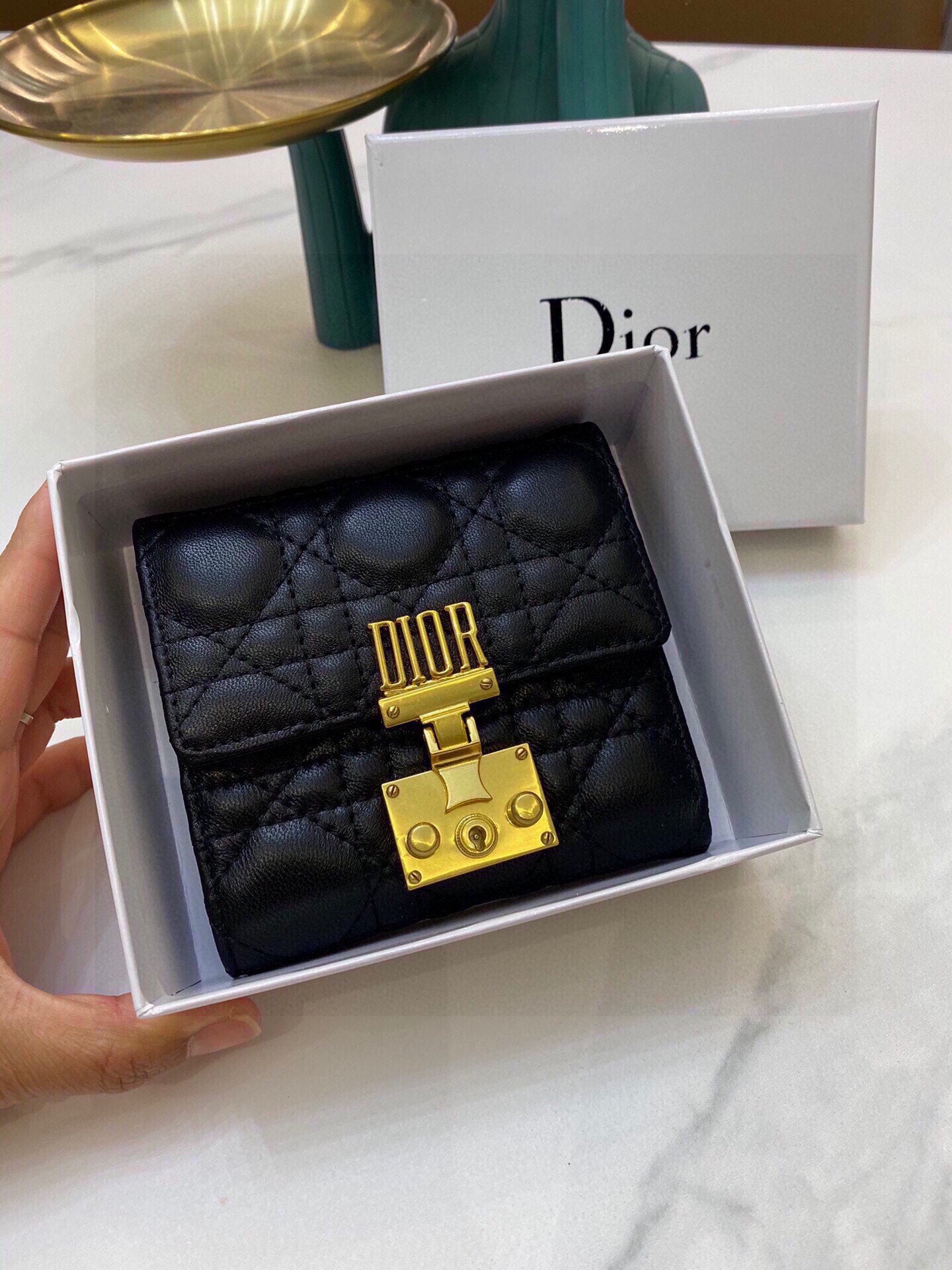 Dior-040Wallet