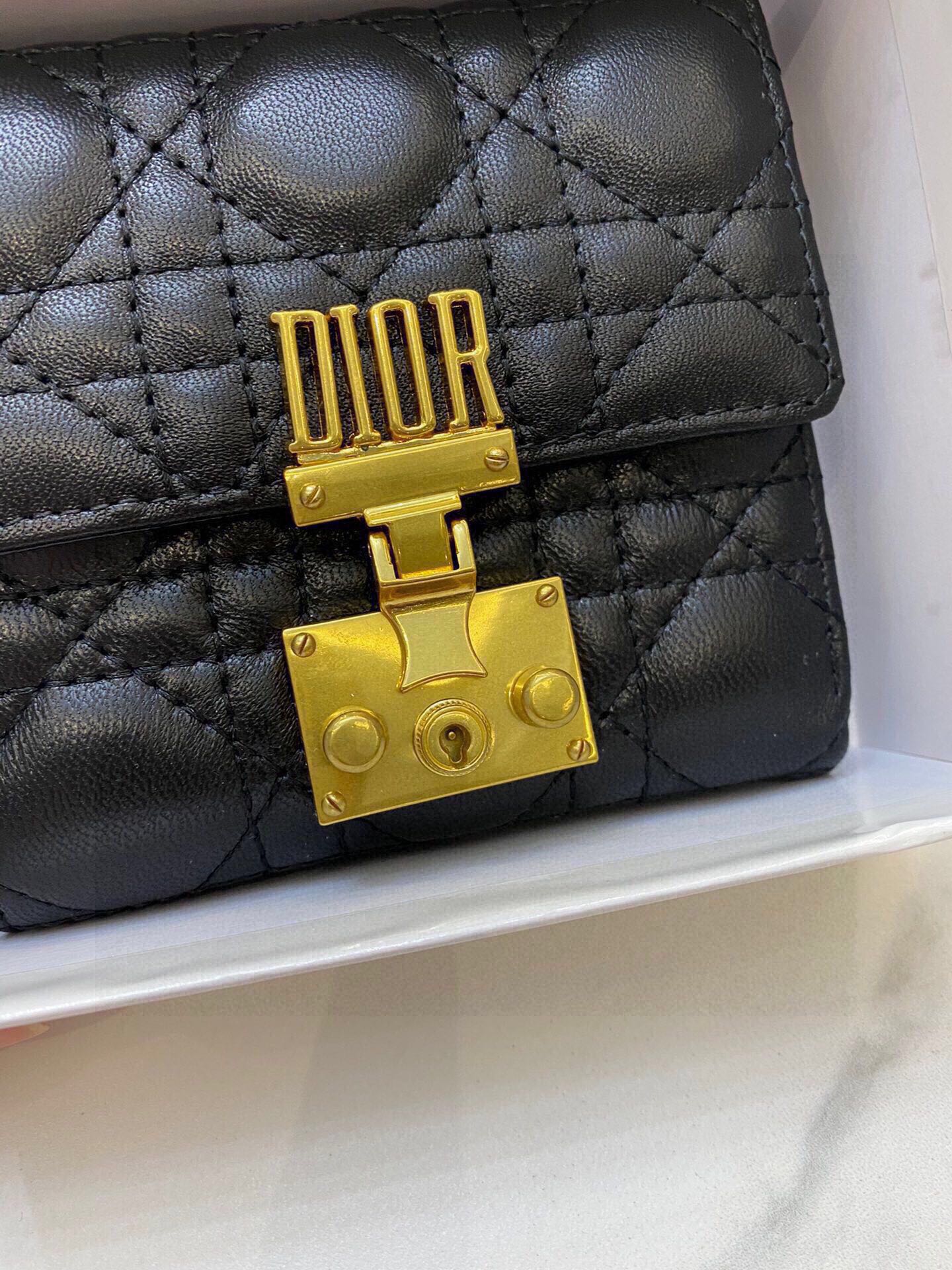 Dior-040Wallet