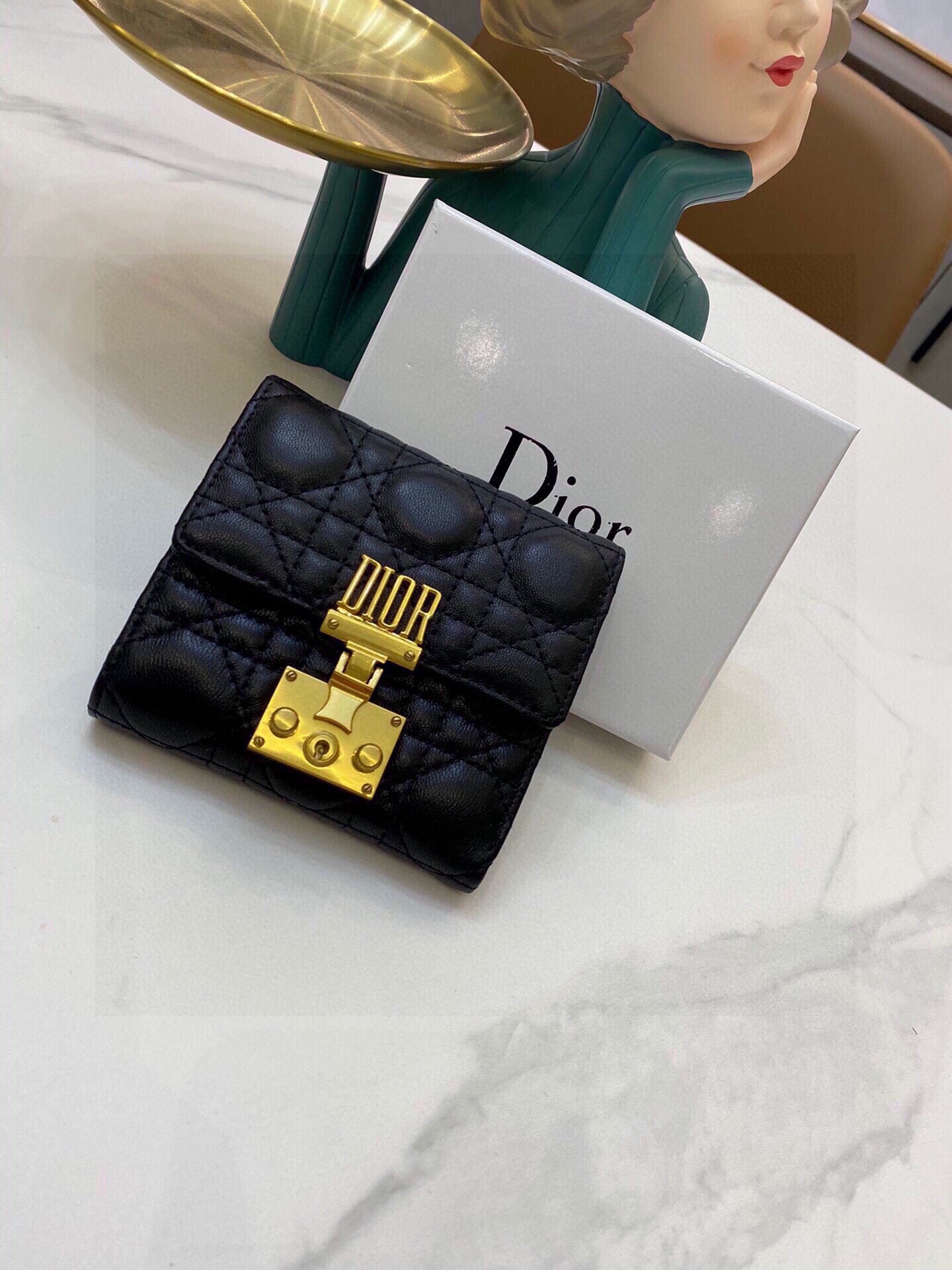 Dior-040Wallet