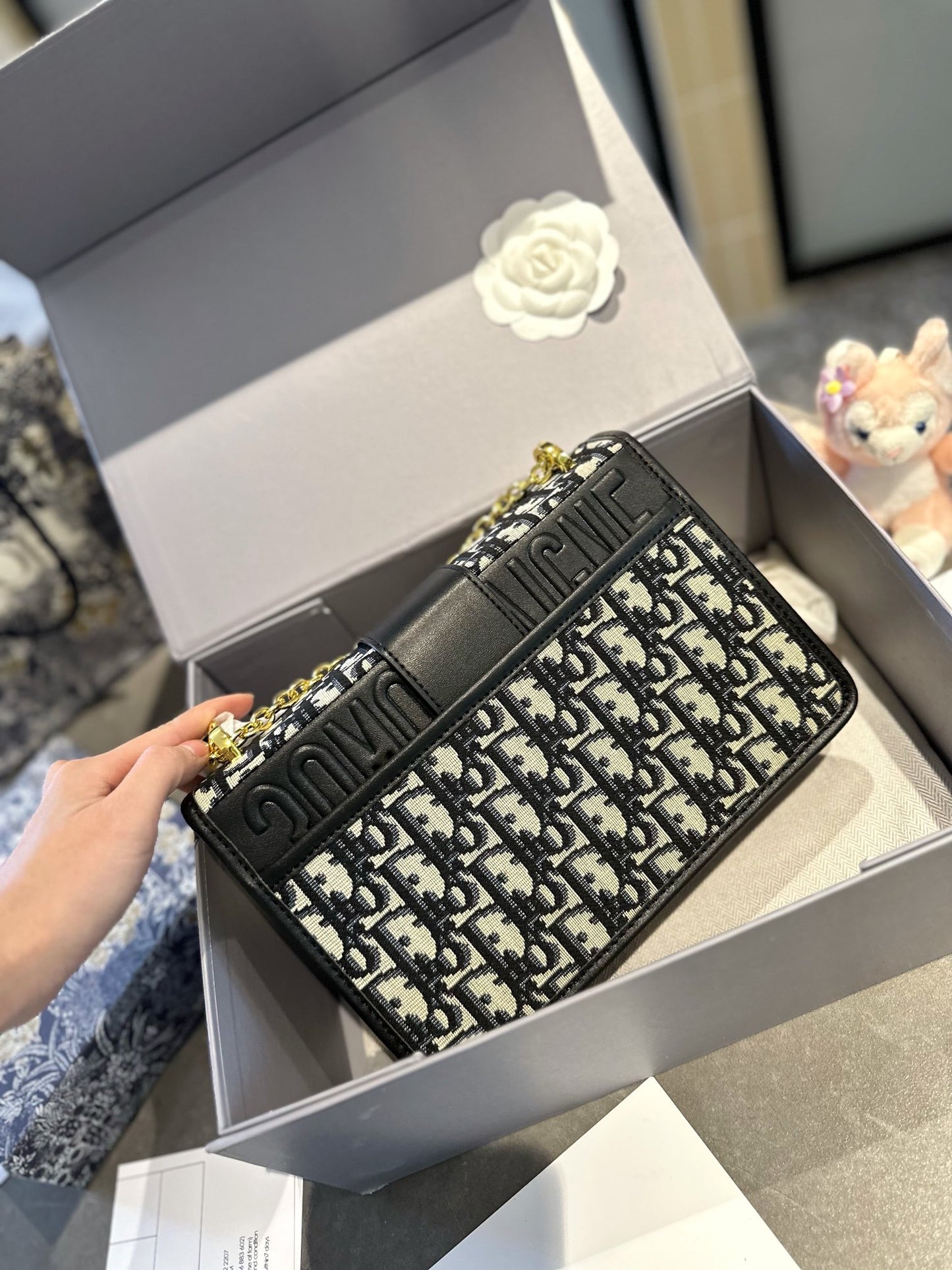 DIOR-481