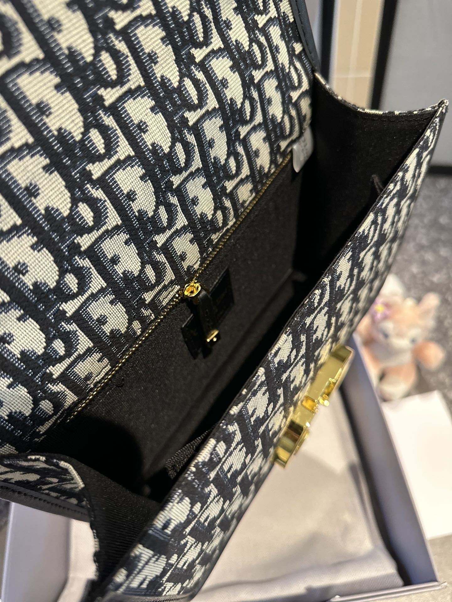 DIOR-481