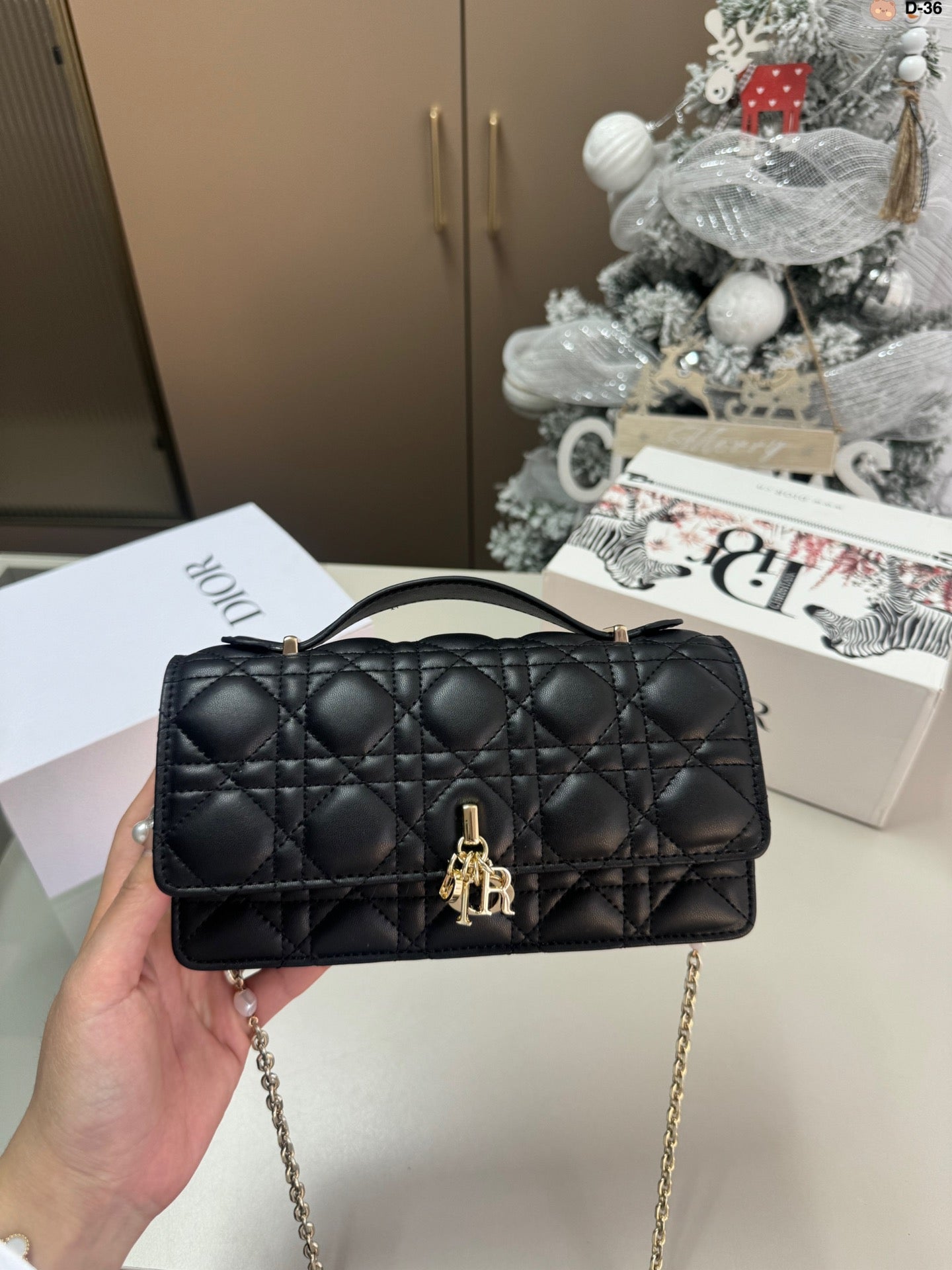 DIOR-589