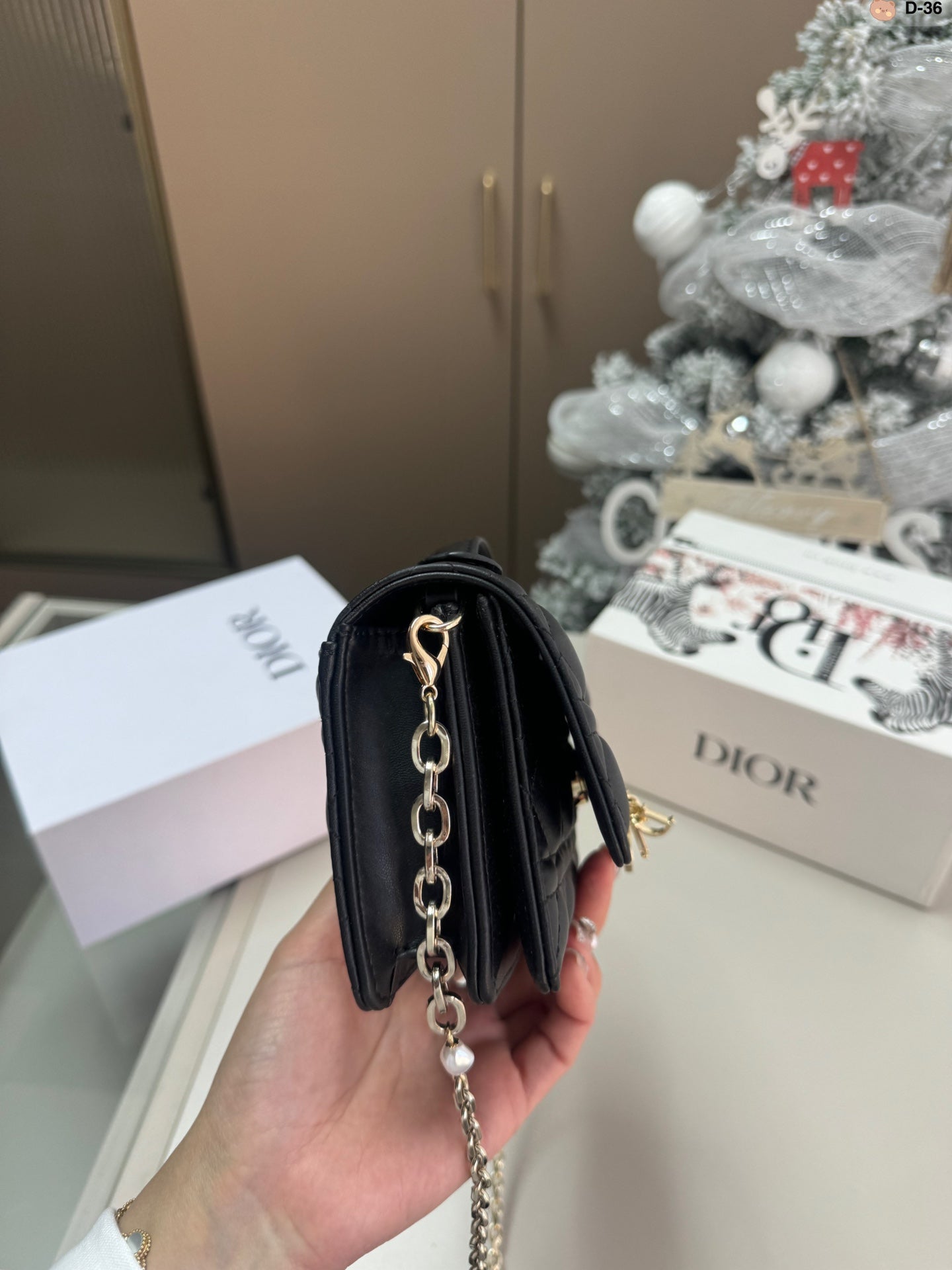 DIOR-589