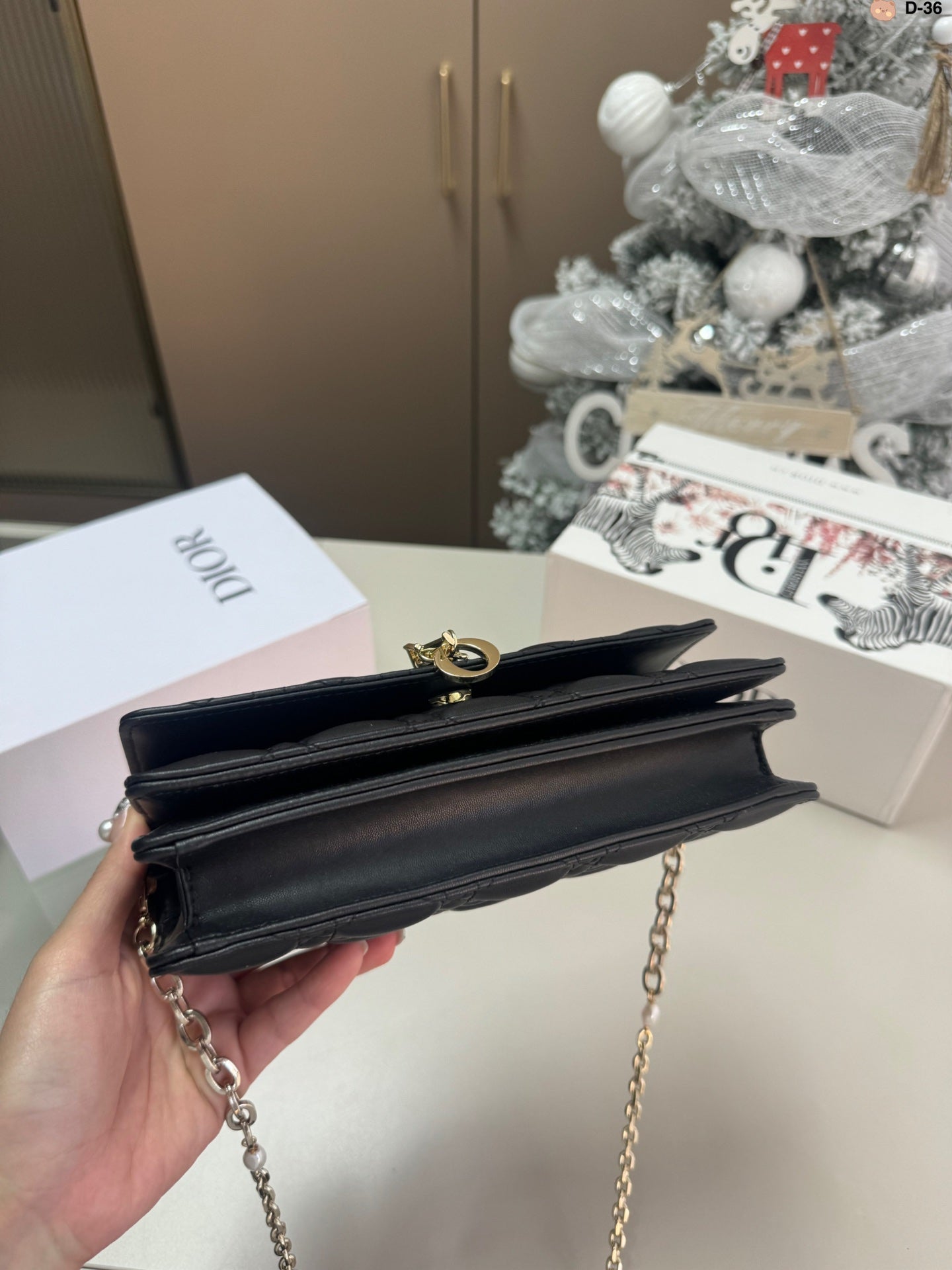 DIOR-589
