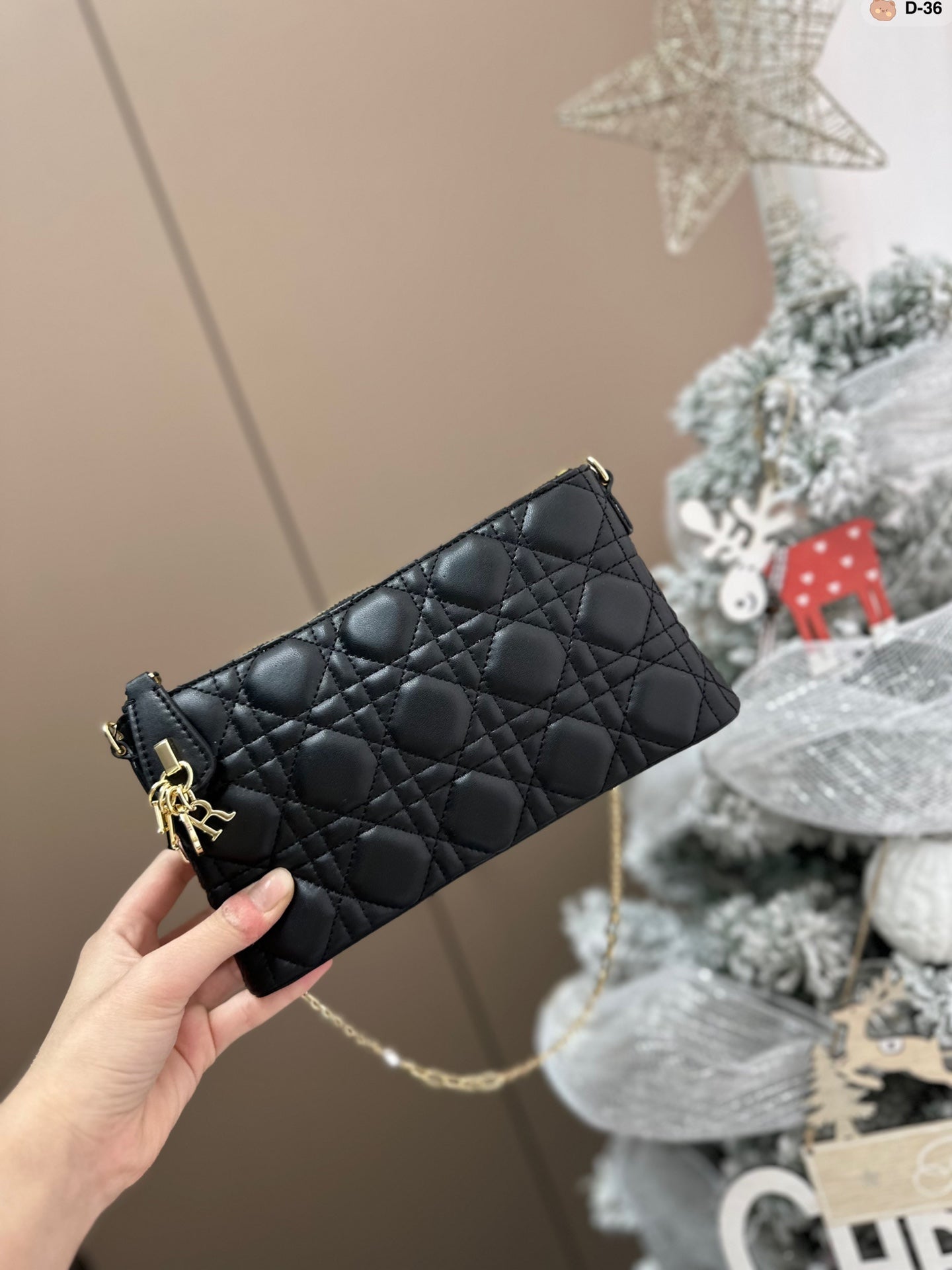 DIOR-507
