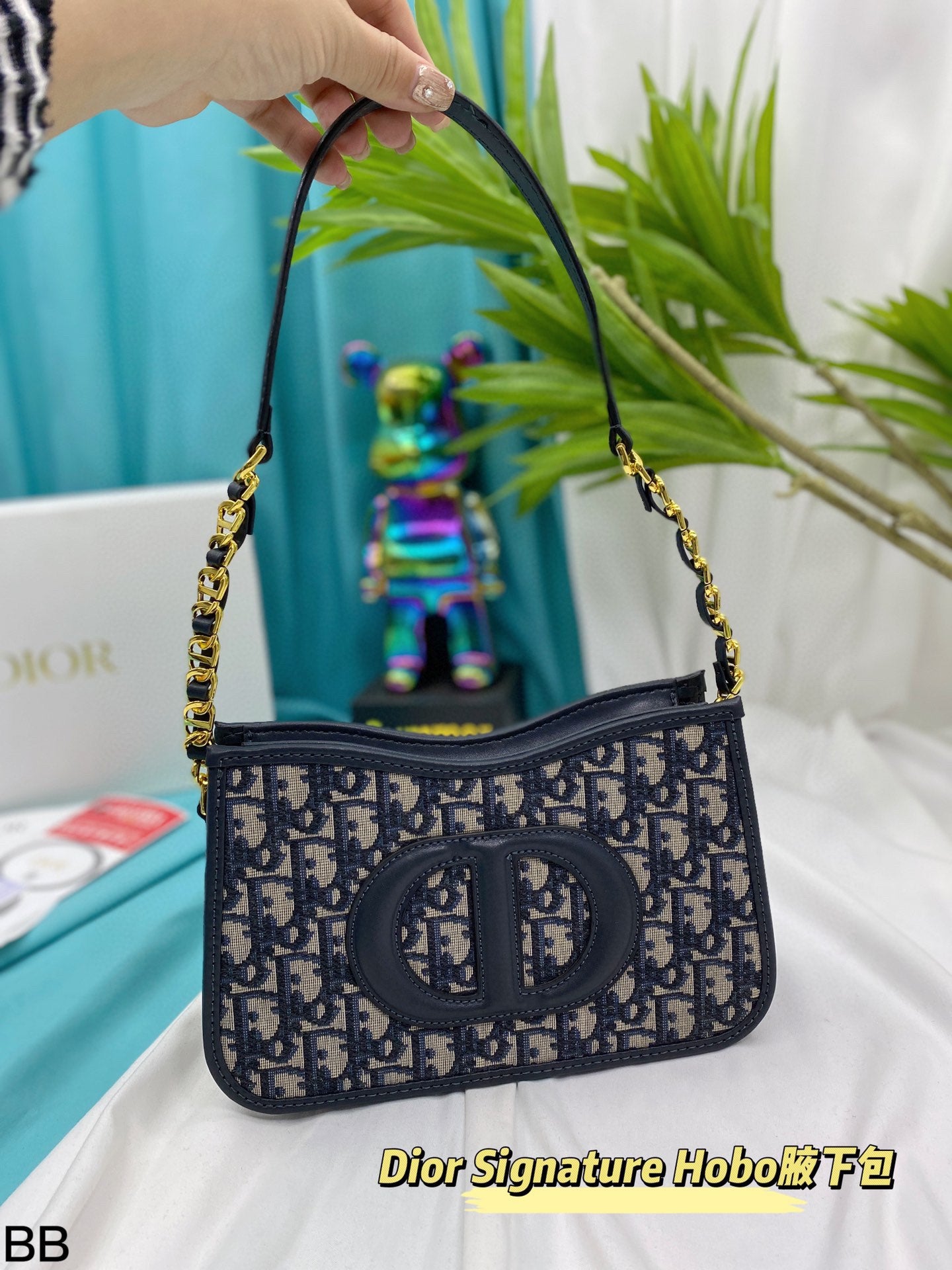 DIOR-529