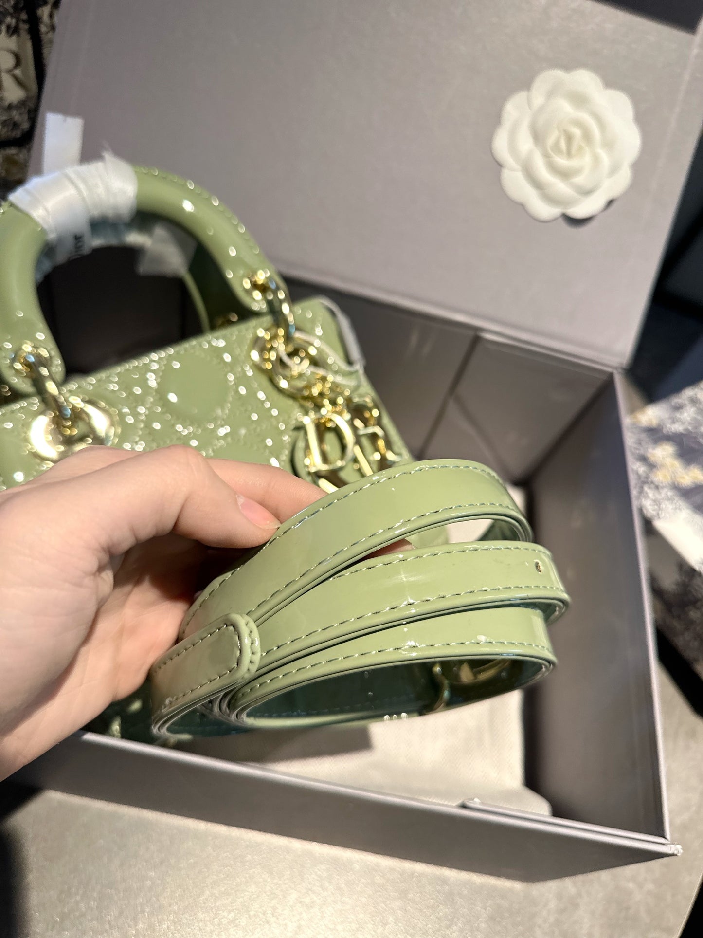 DIOR-547