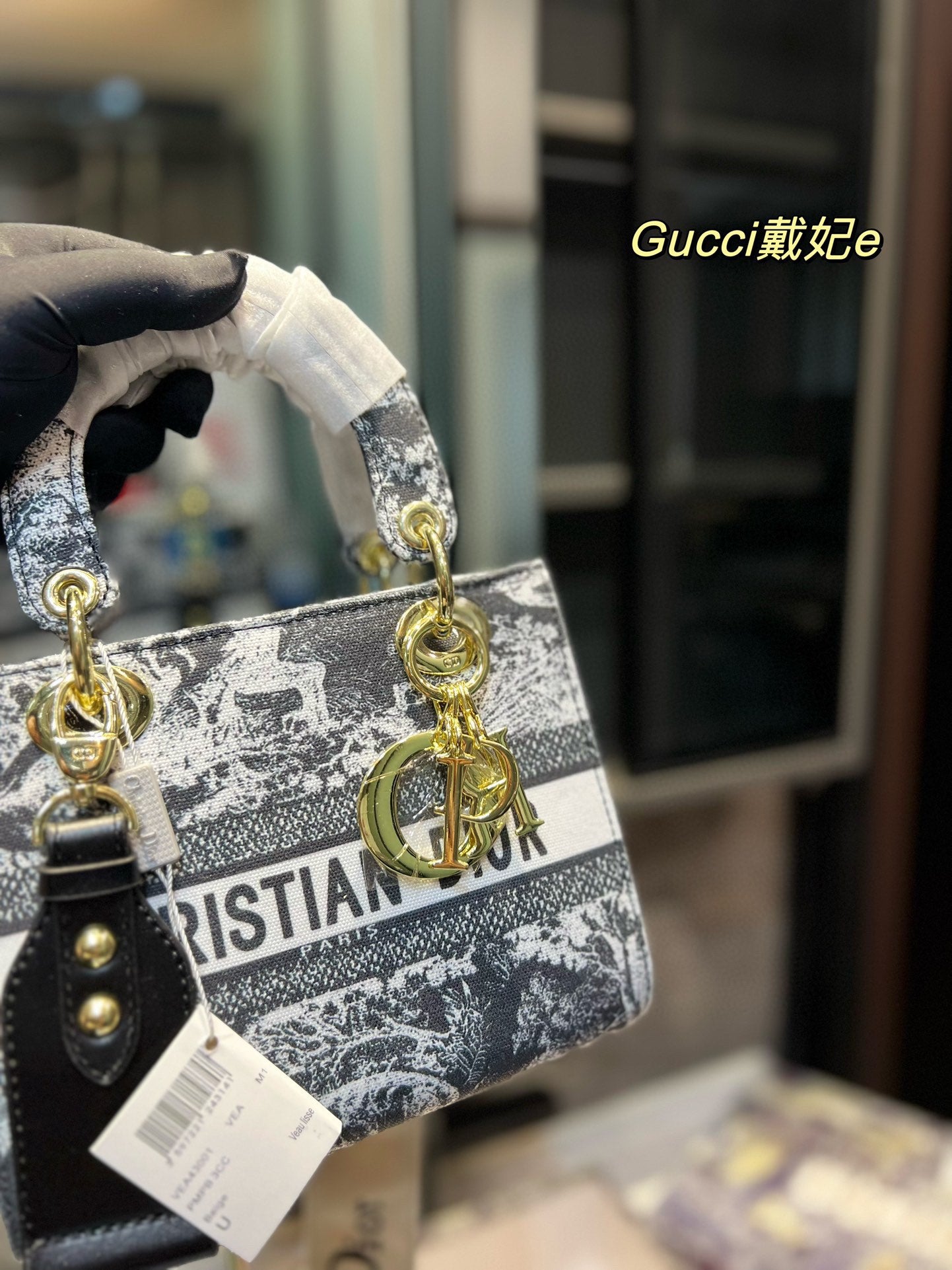 DIOR-459