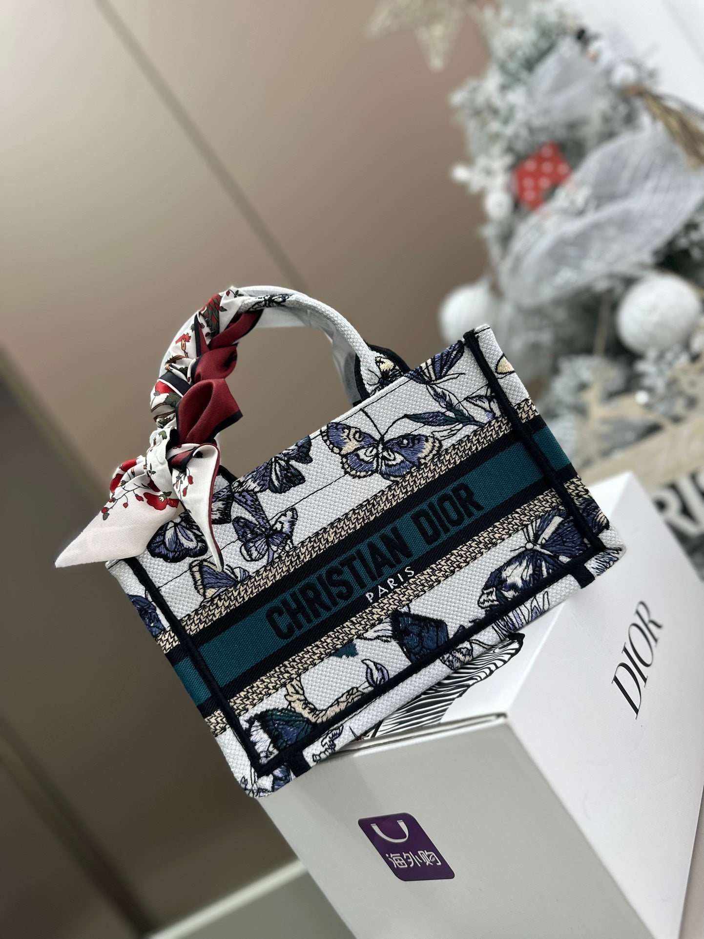 DIOR-579