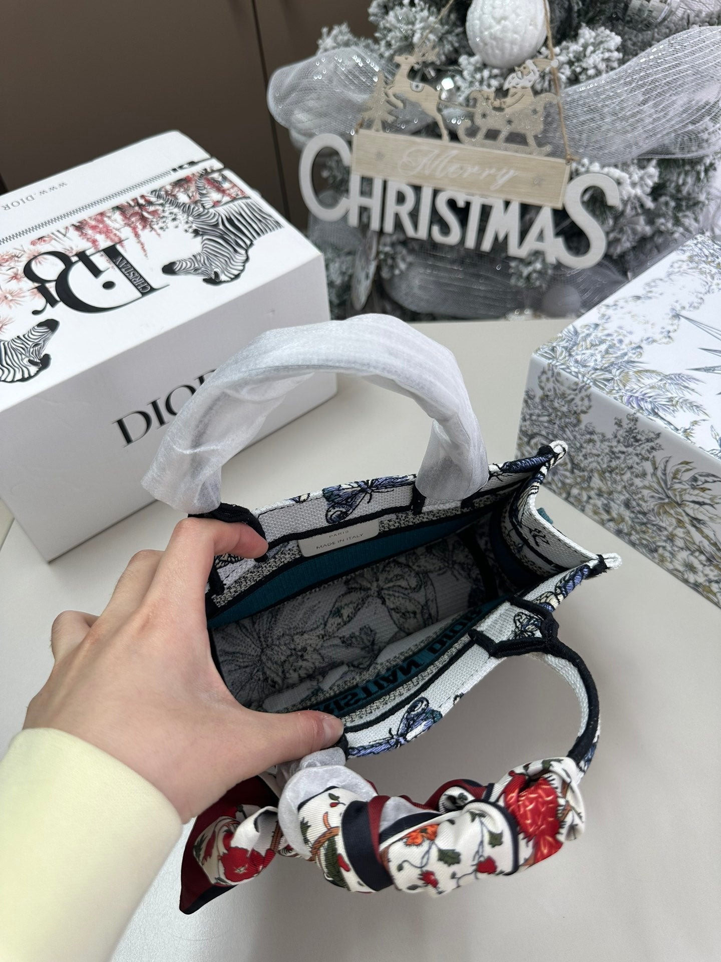 DIOR-579