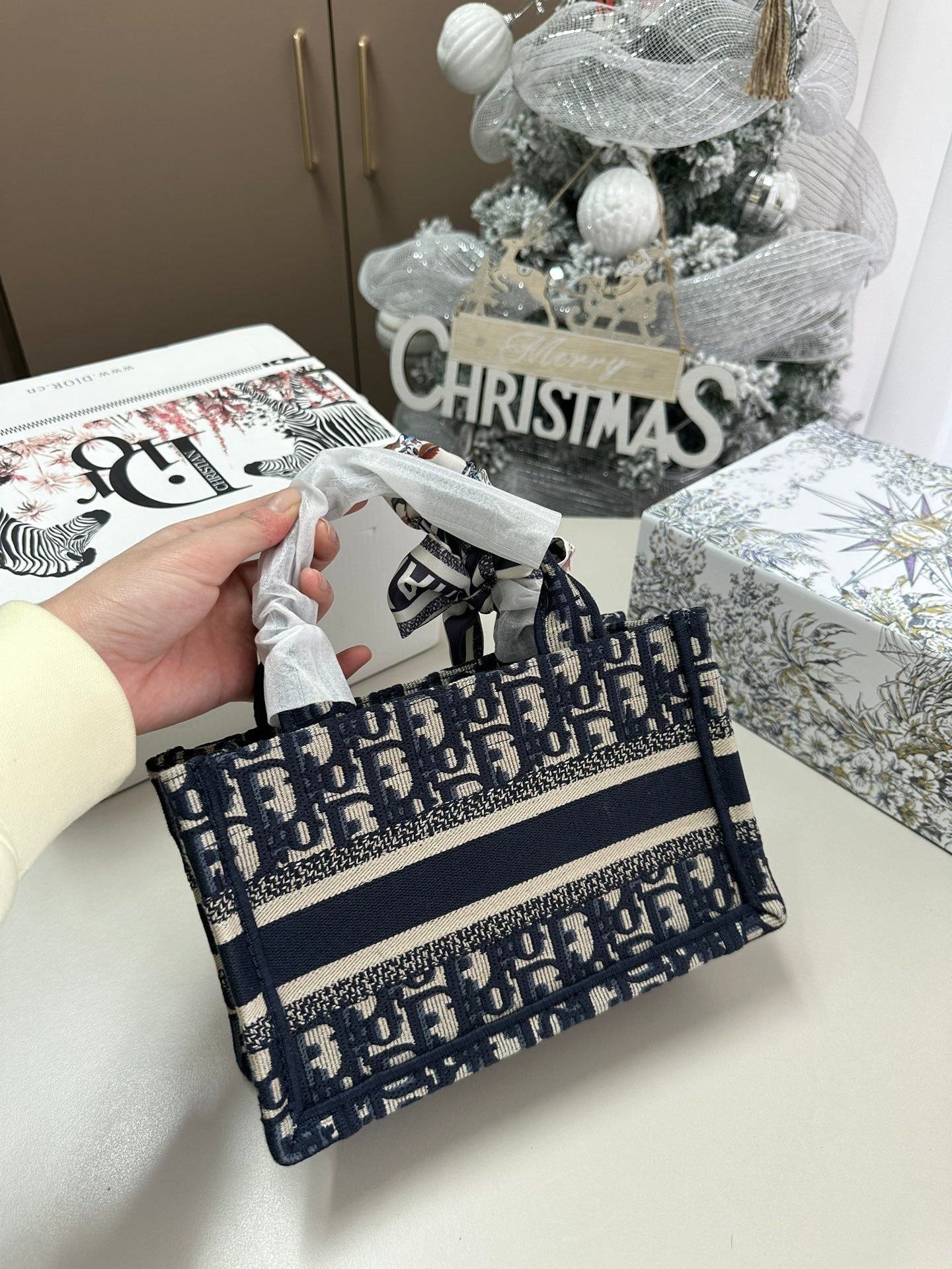 DIOR-573
