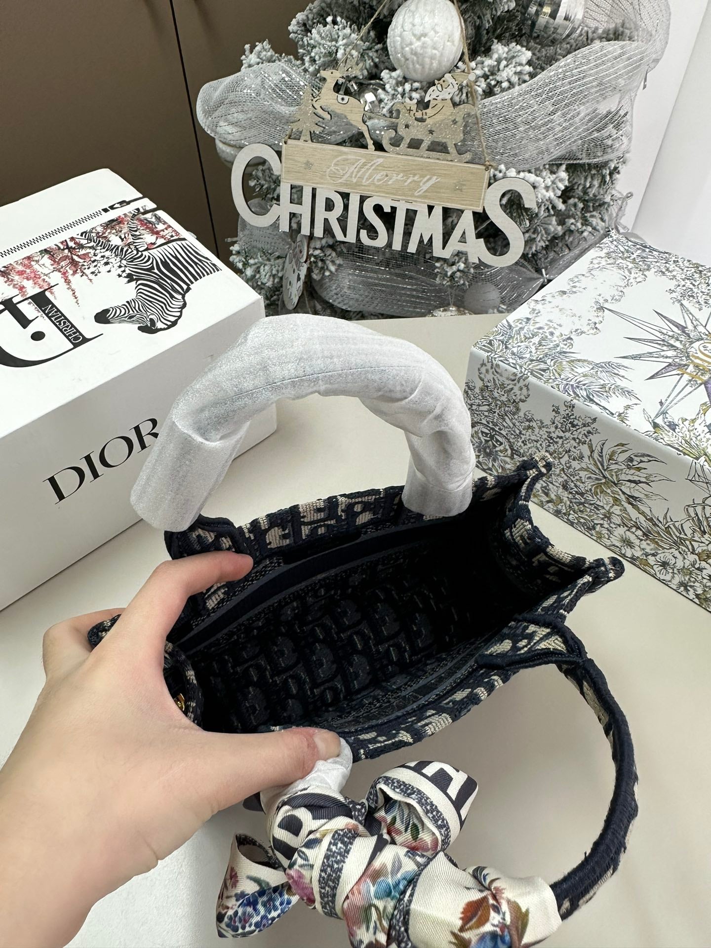 DIOR-573