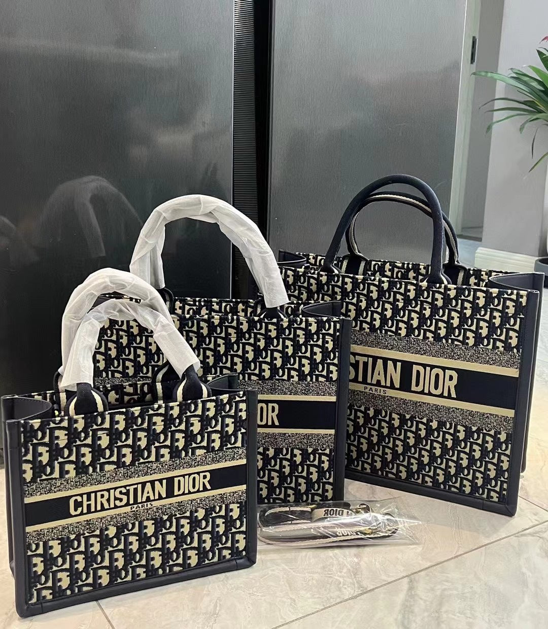 DIOR-496