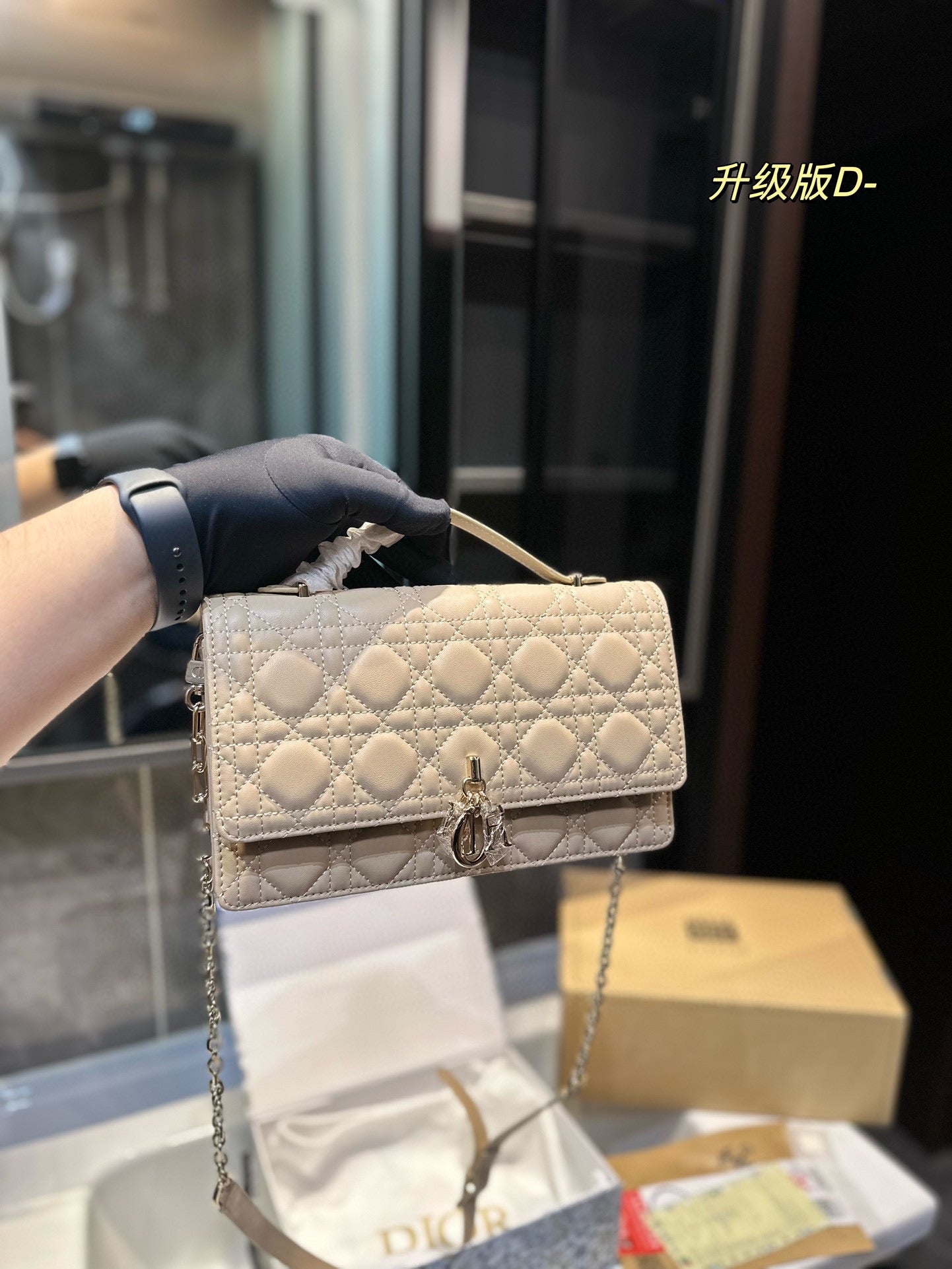 DIOR-519