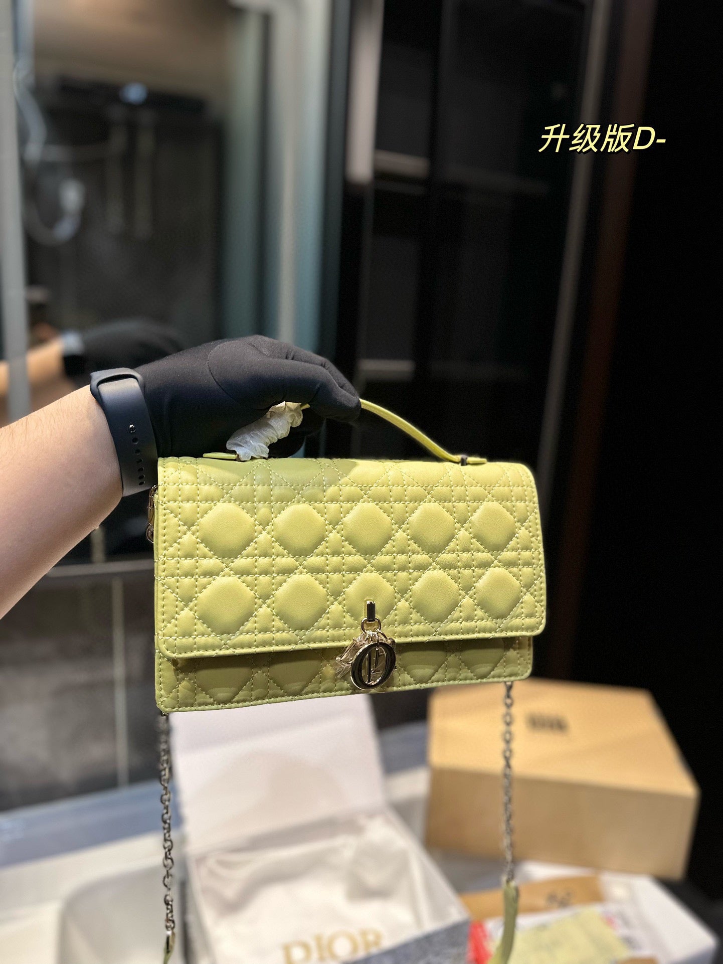 DIOR-519