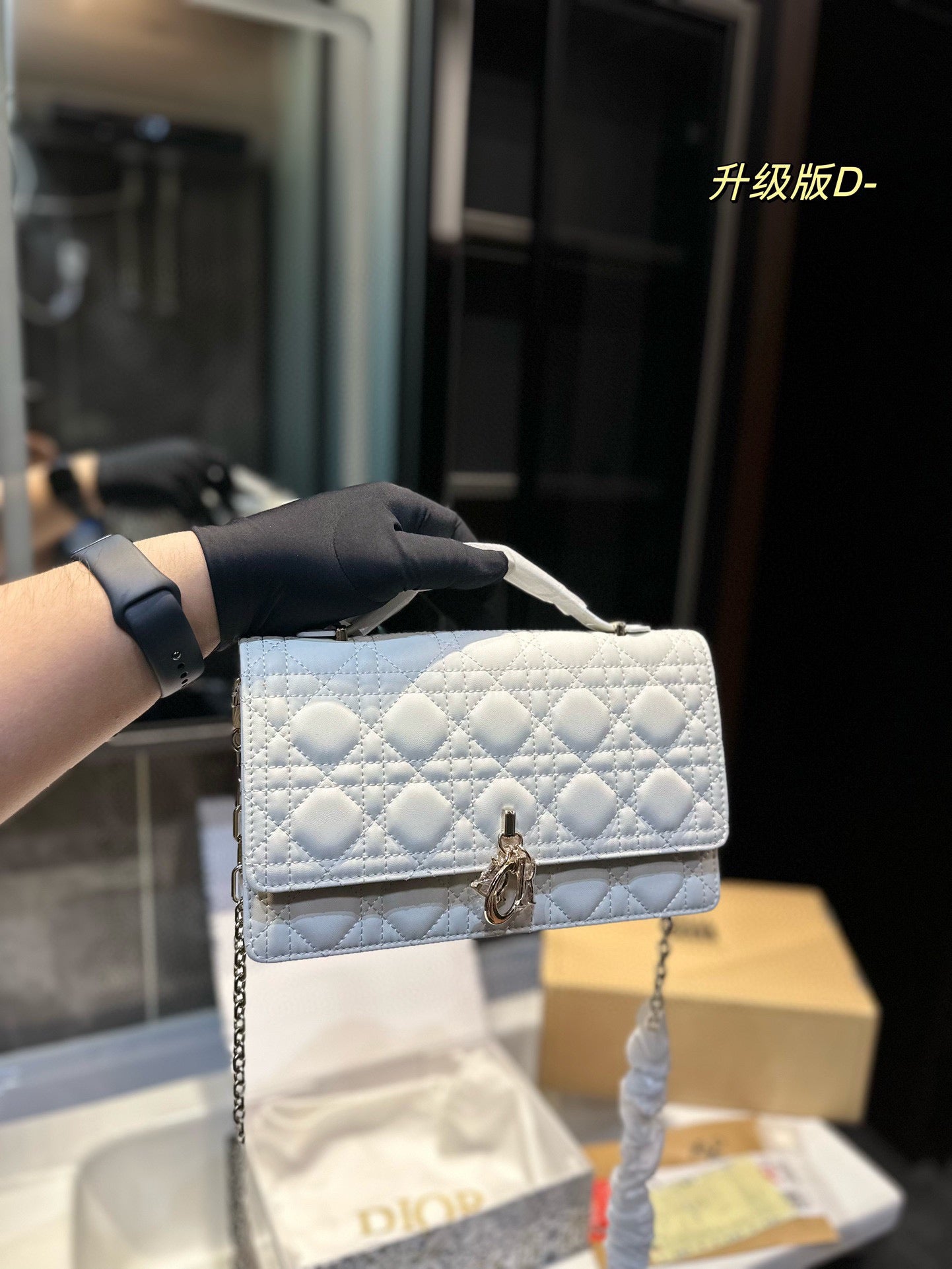DIOR-519
